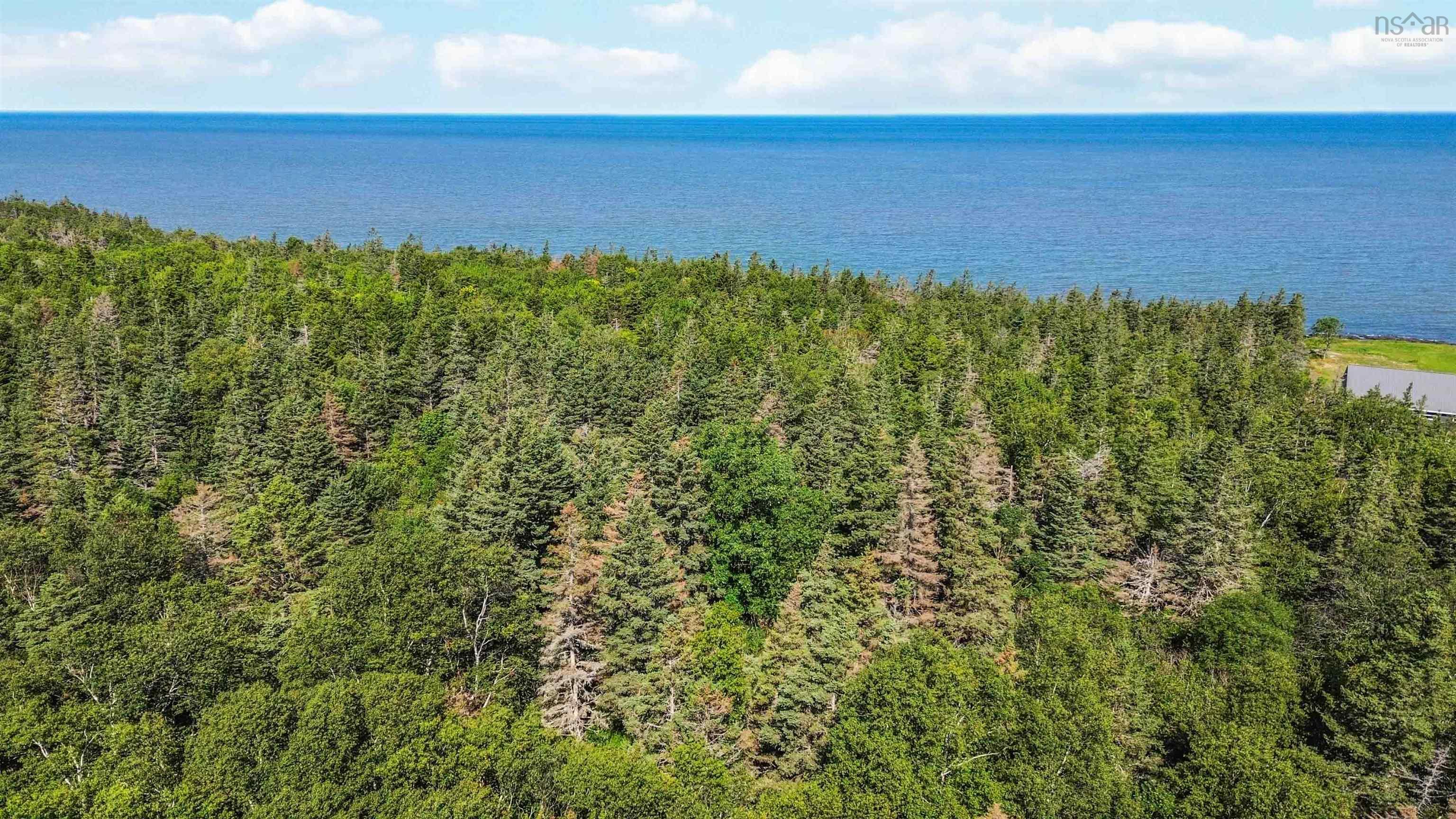 $145,000.00: Lot 1A Hampton Mountain Road, Hampton