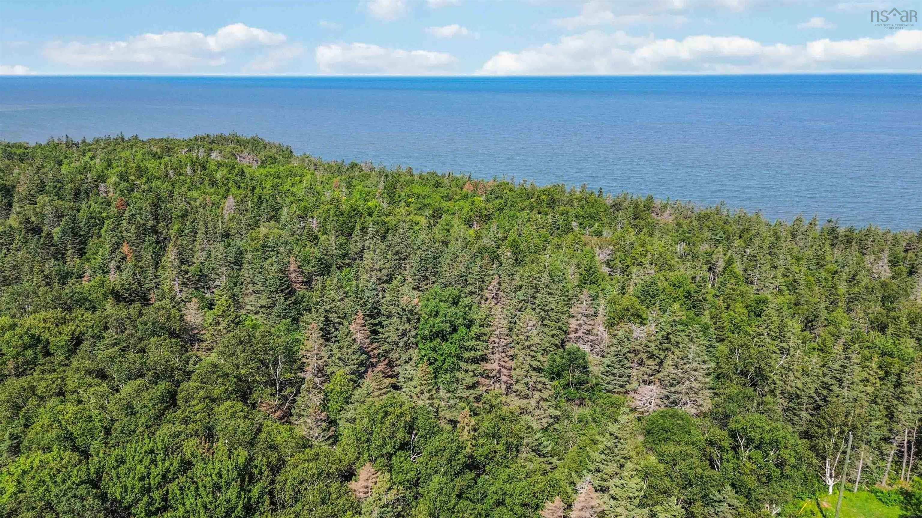 $145,000.00: Lot 1A Hampton Mountain Road, Hampton