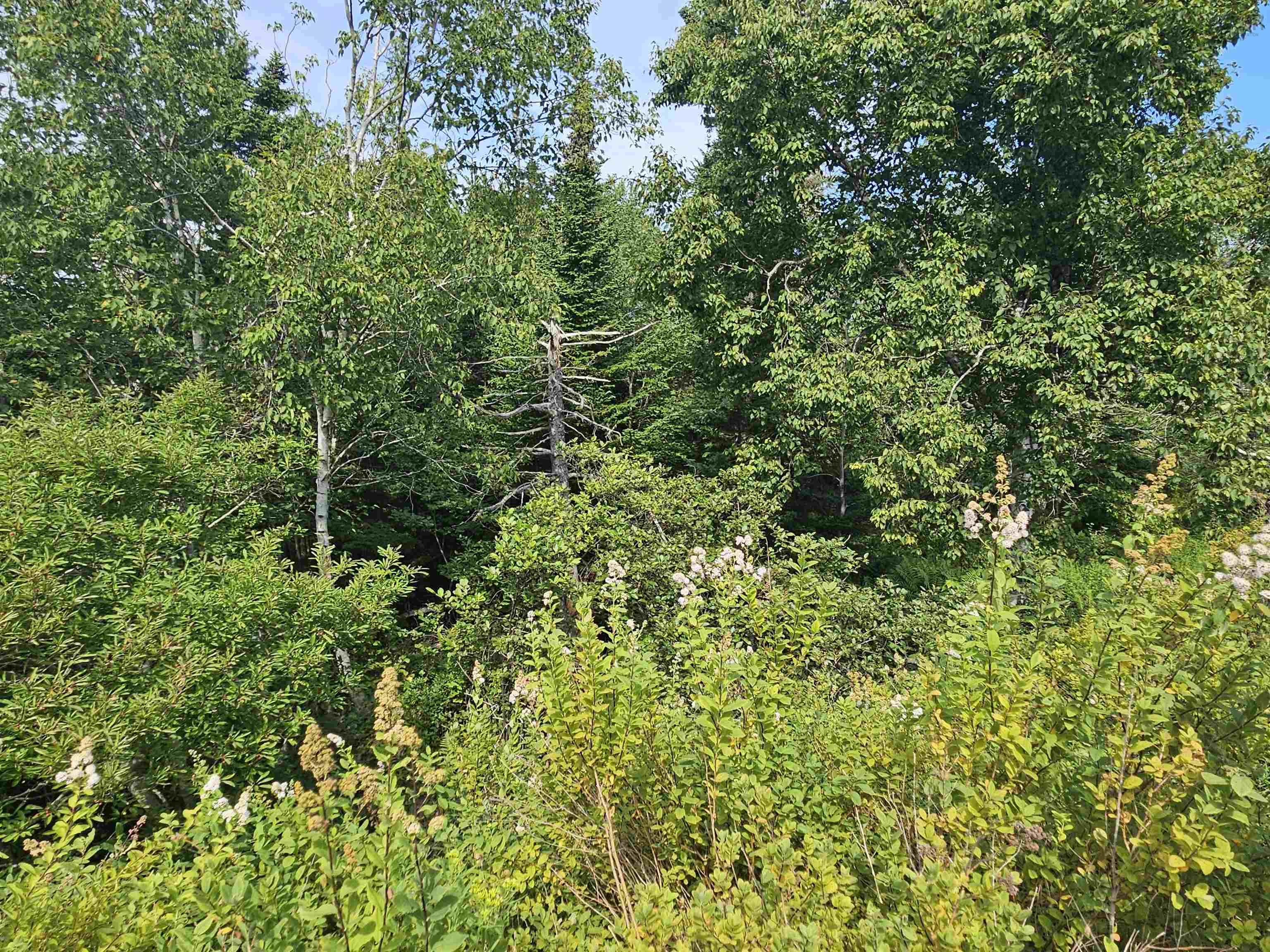 Lot 7 Prospect Road, West Dover, NS (MLS 202620525)