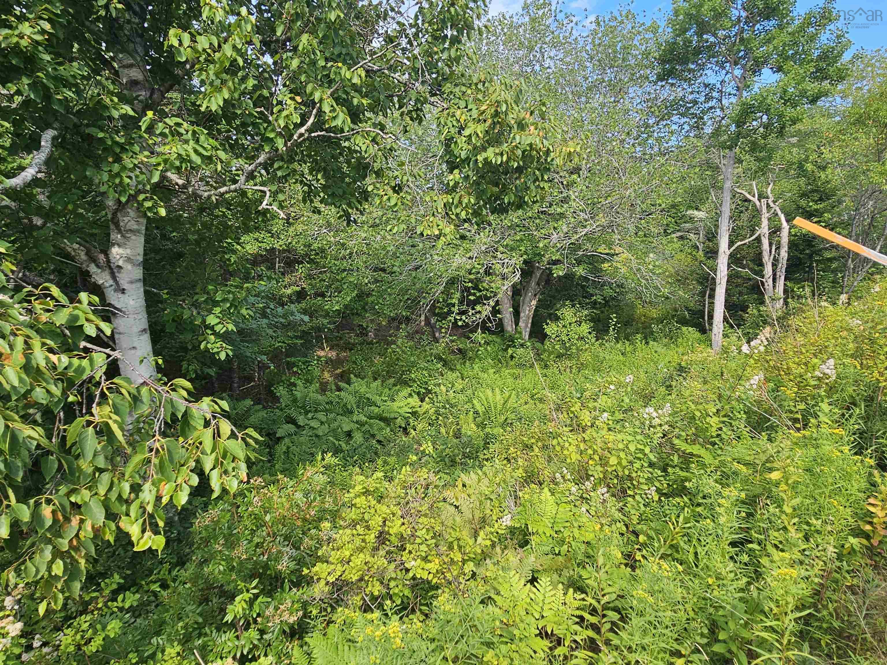 Lot 7 Prospect Road, West Dover, NS (MLS 202620525)