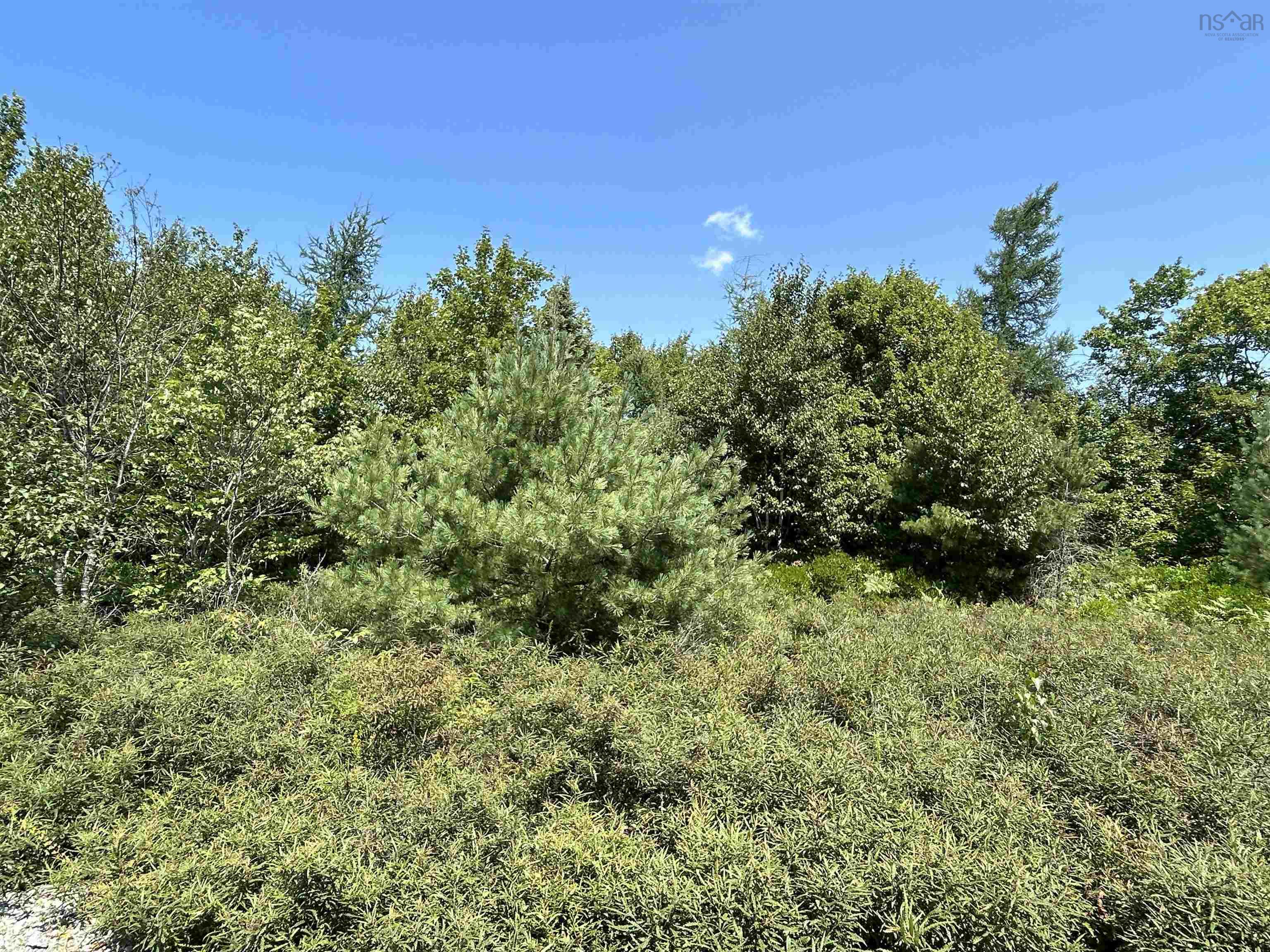 $299,000.00: 1475 Upper Clyde Road, Clyde River