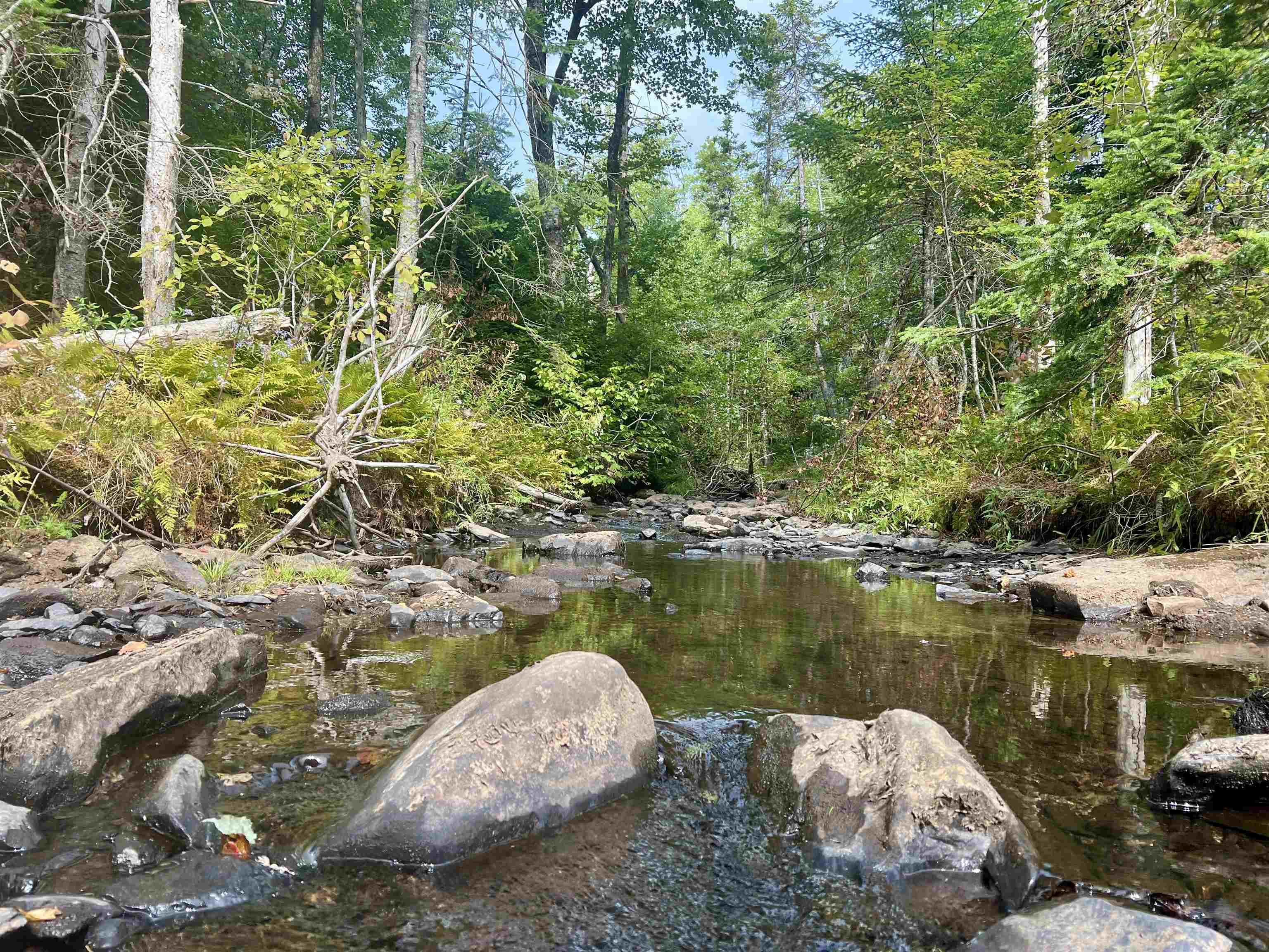 $90,000.00: Lot 7 Greenfield Road, Greenfield