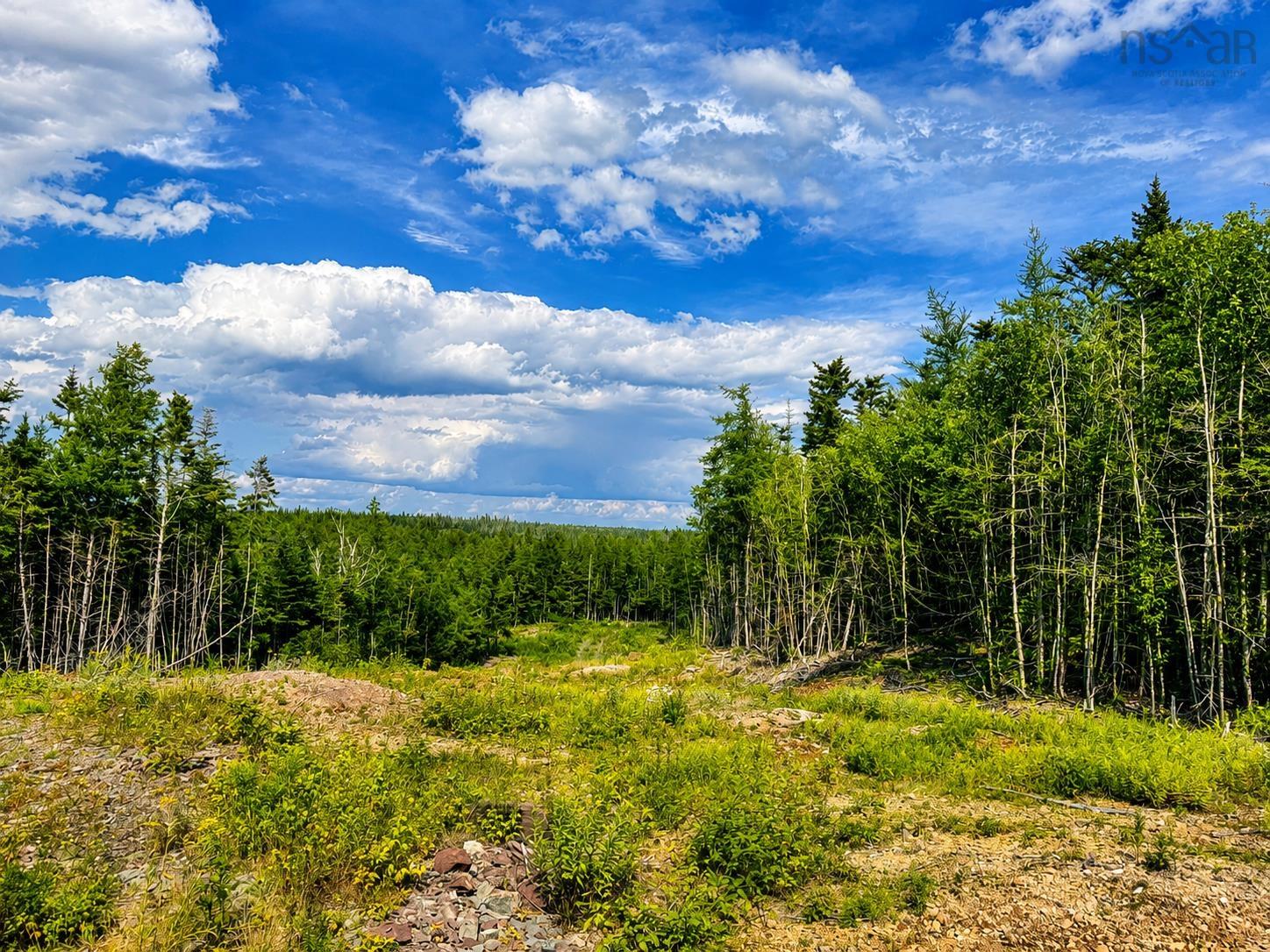$129,000.00: Lot 4 Grandique Road, Arichat