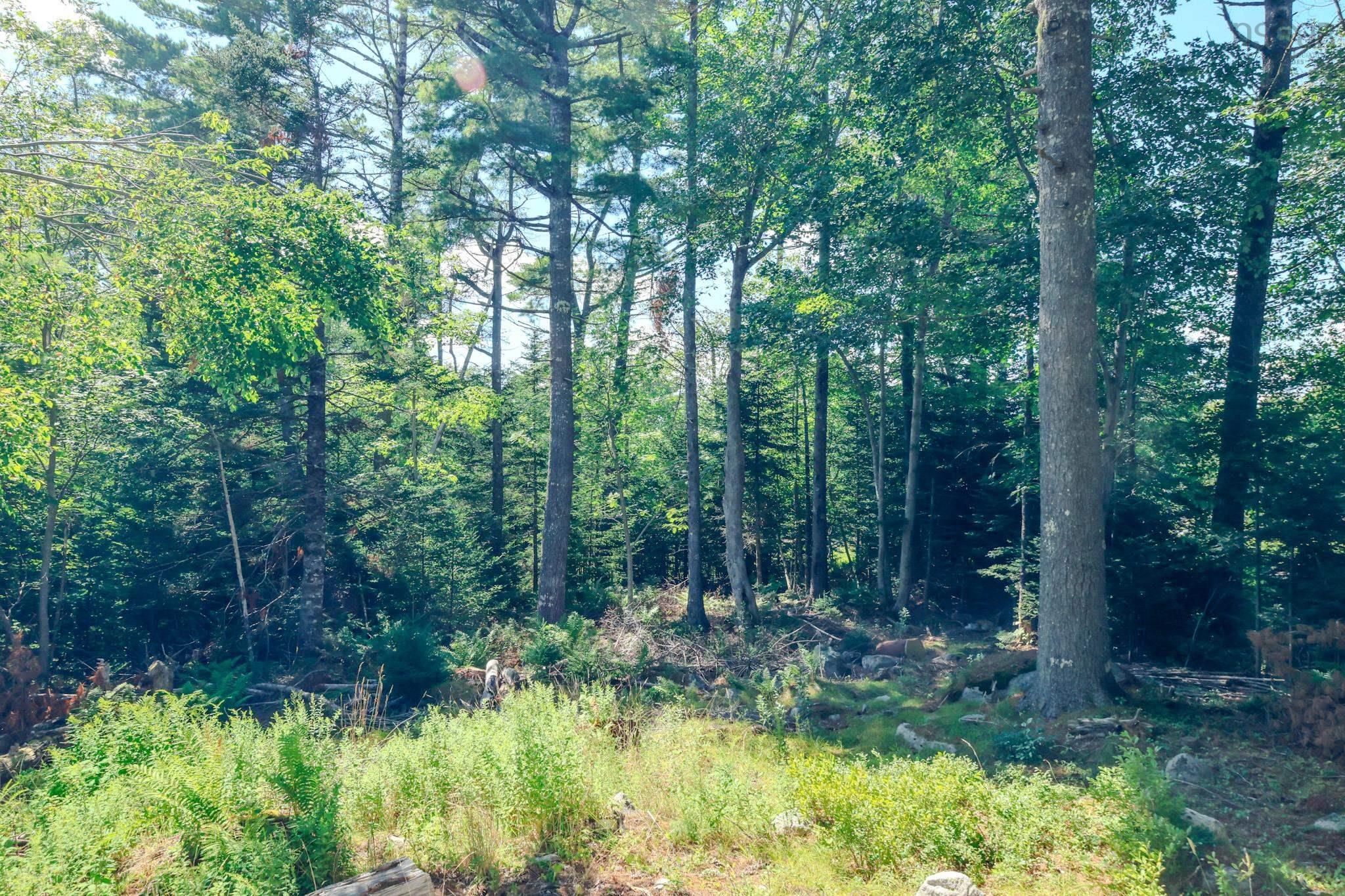 $30,000.00: 75 Annapolis Road, Shelburne