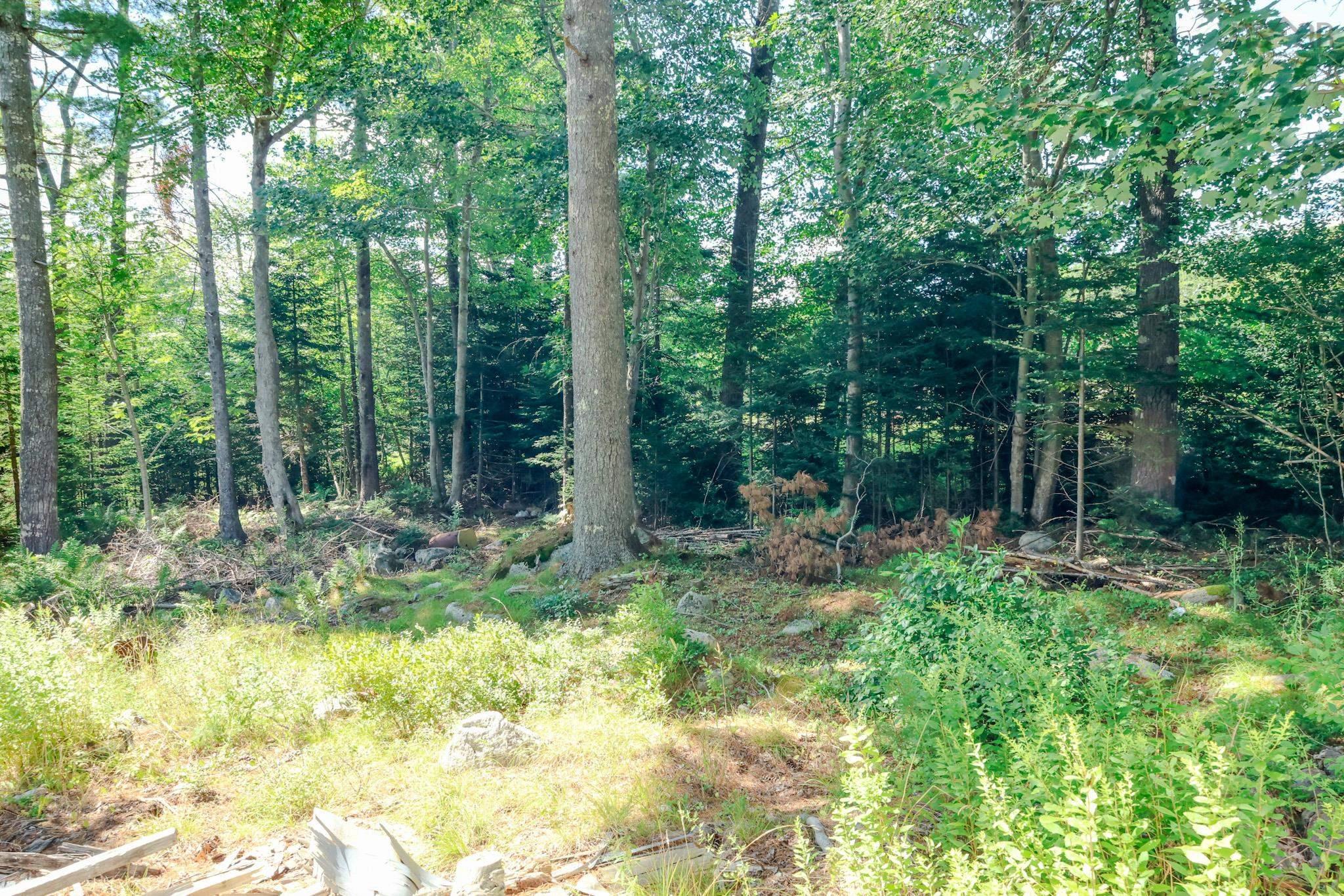 $30,000.00: 75 Annapolis Road, Shelburne