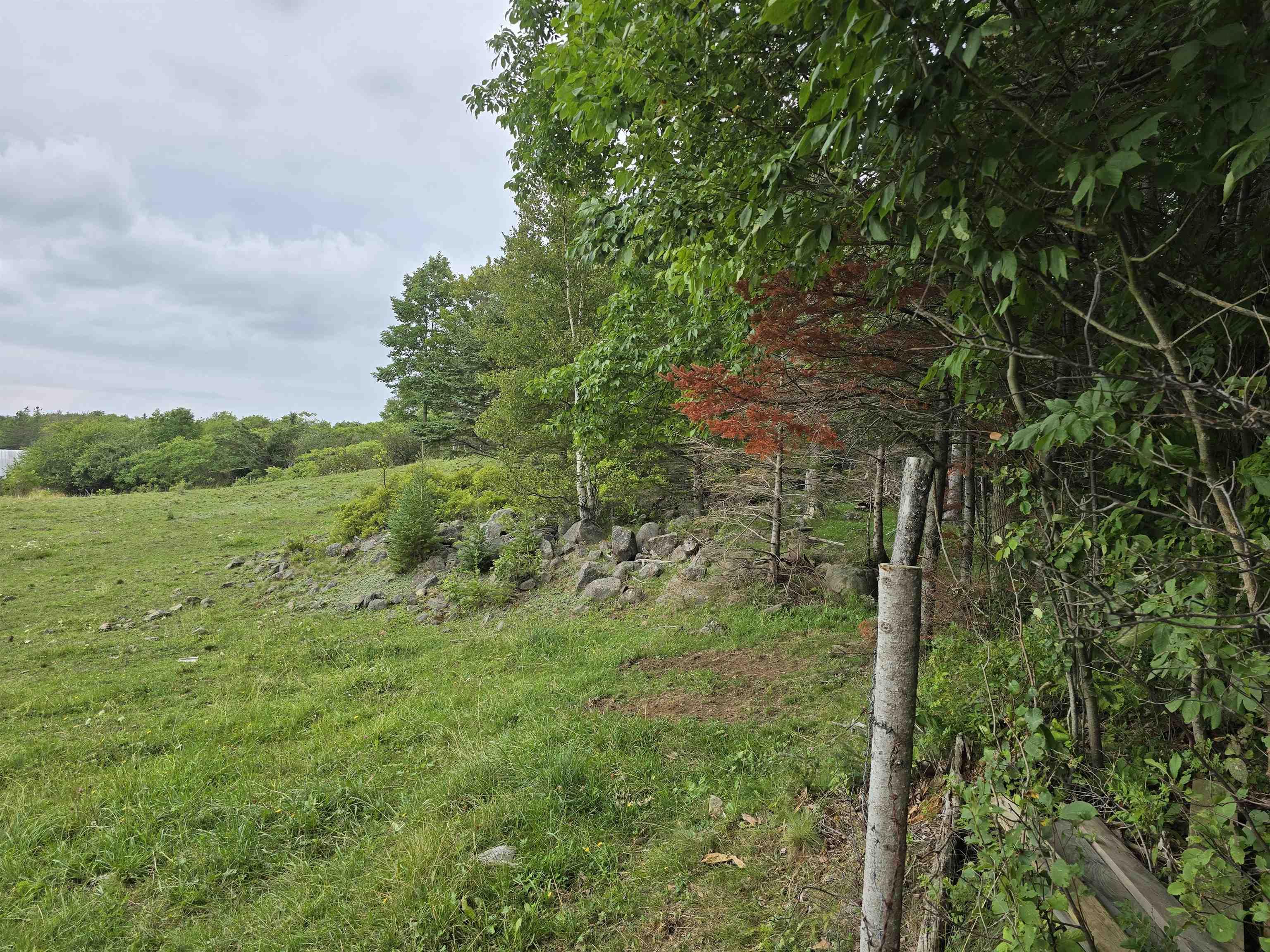 $125,000.00: Lot Canada Creek Road, Black Rock