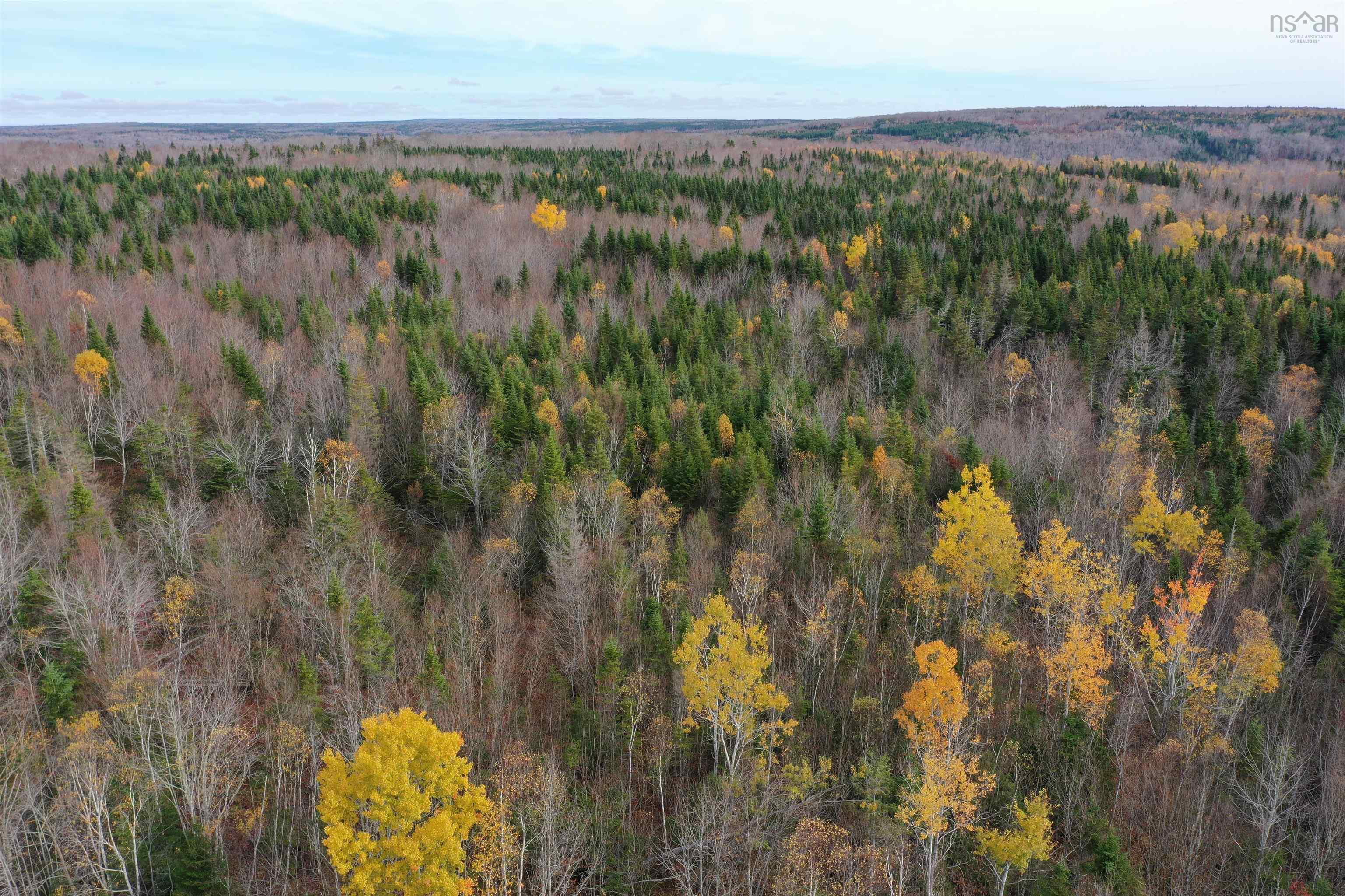 $99,900.00: 114 Acres+ MacMillan Road, Willowdale