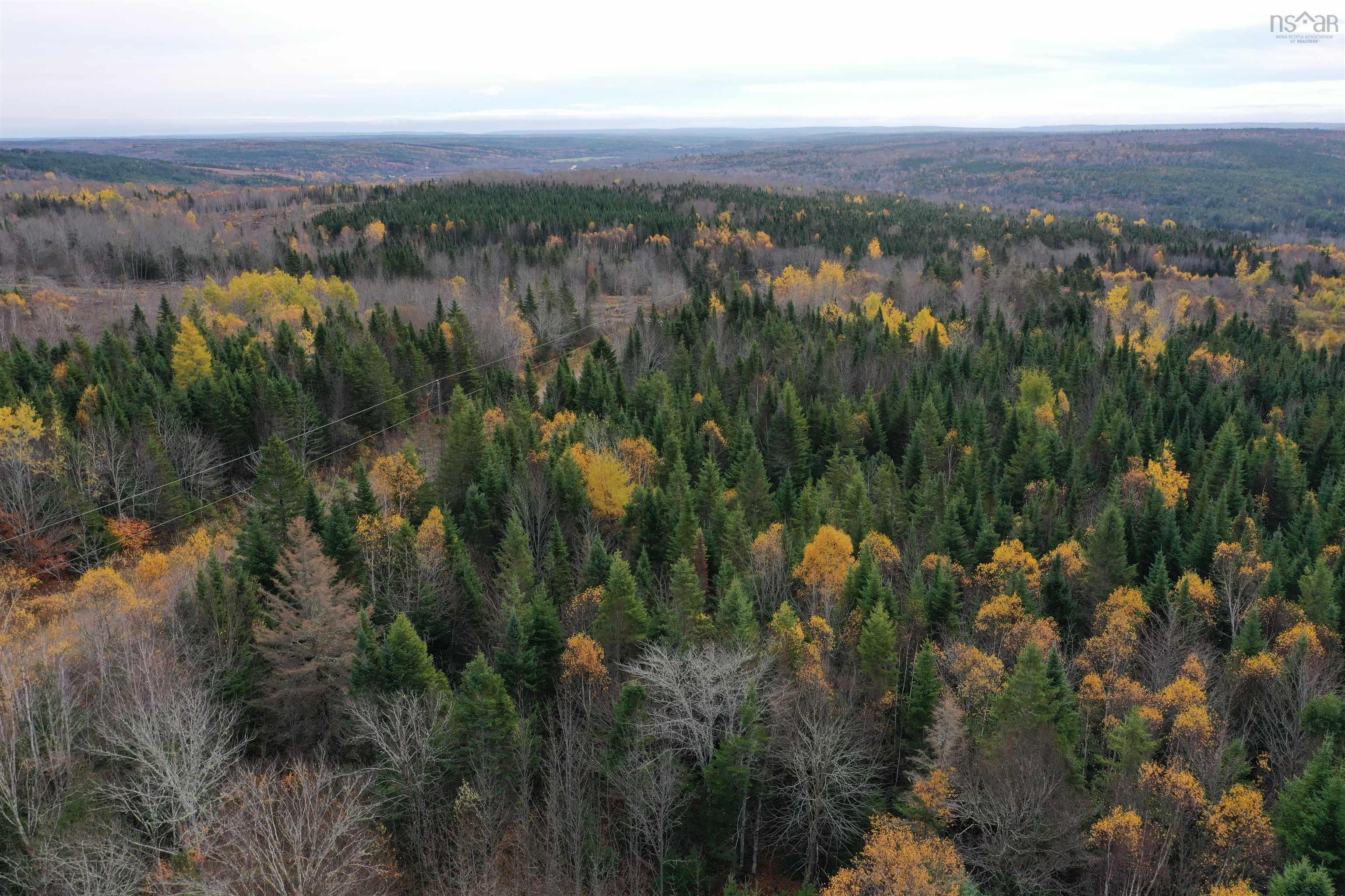 $99,900.00: 114 Acres+ MacMillan Road, Willowdale