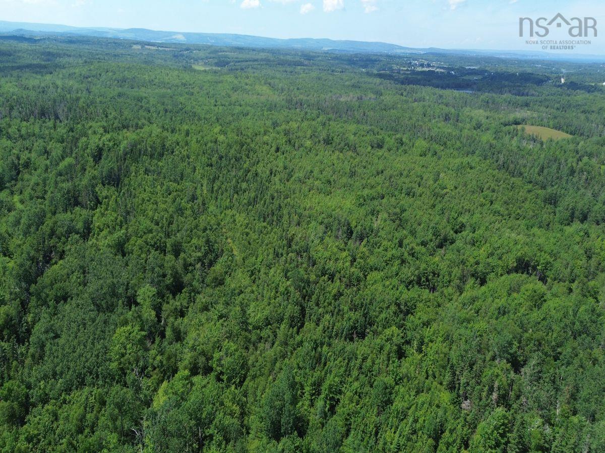 $795,000.00: 172 Melanson Road, Pomquet