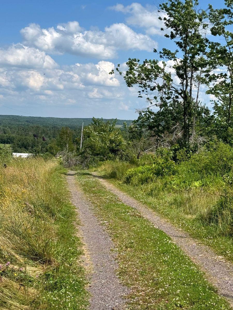 $795,000.00: 172 Melanson Road, Pomquet