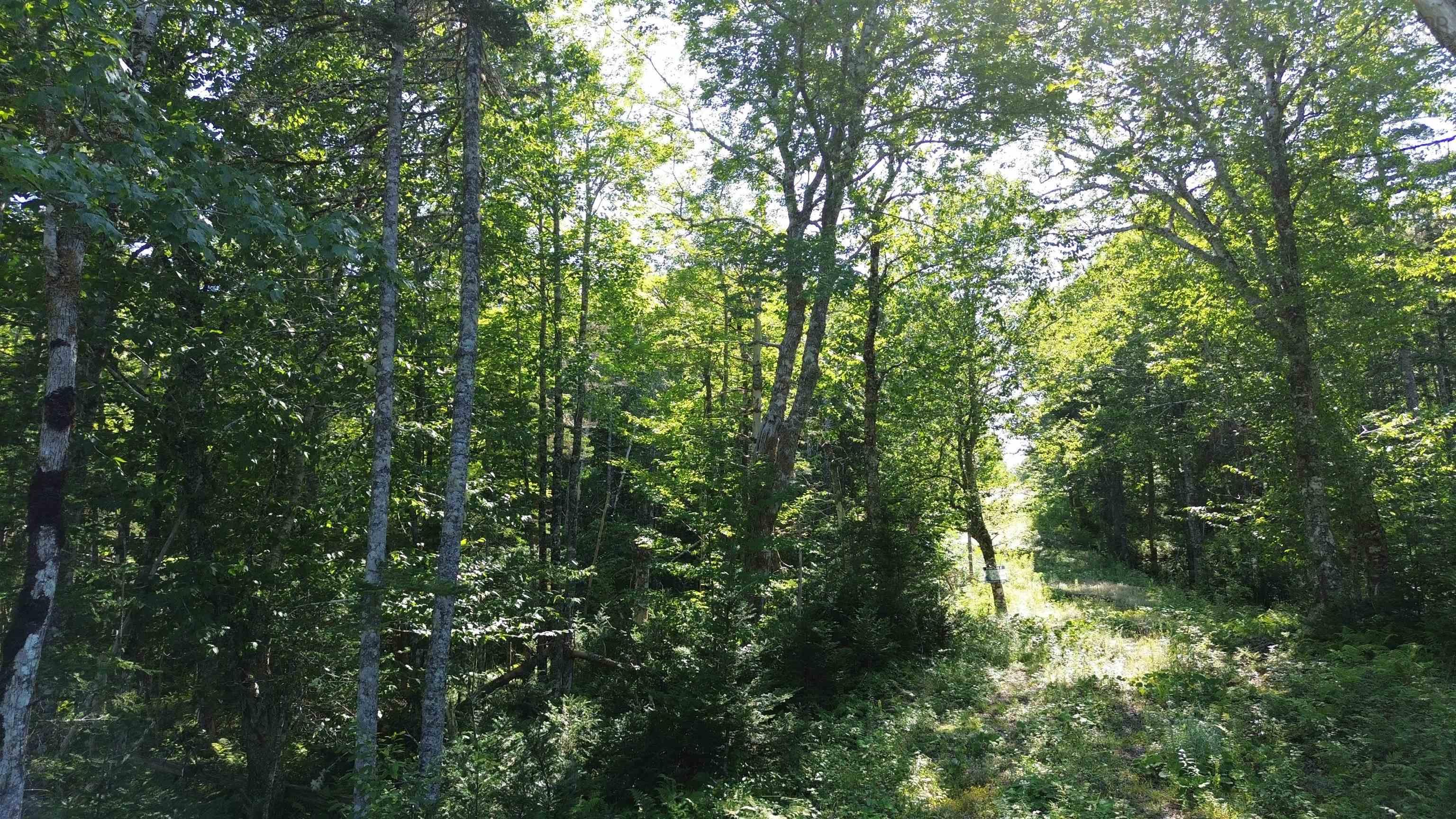 $79,500.00: Condons Lake Drive, Lynche River