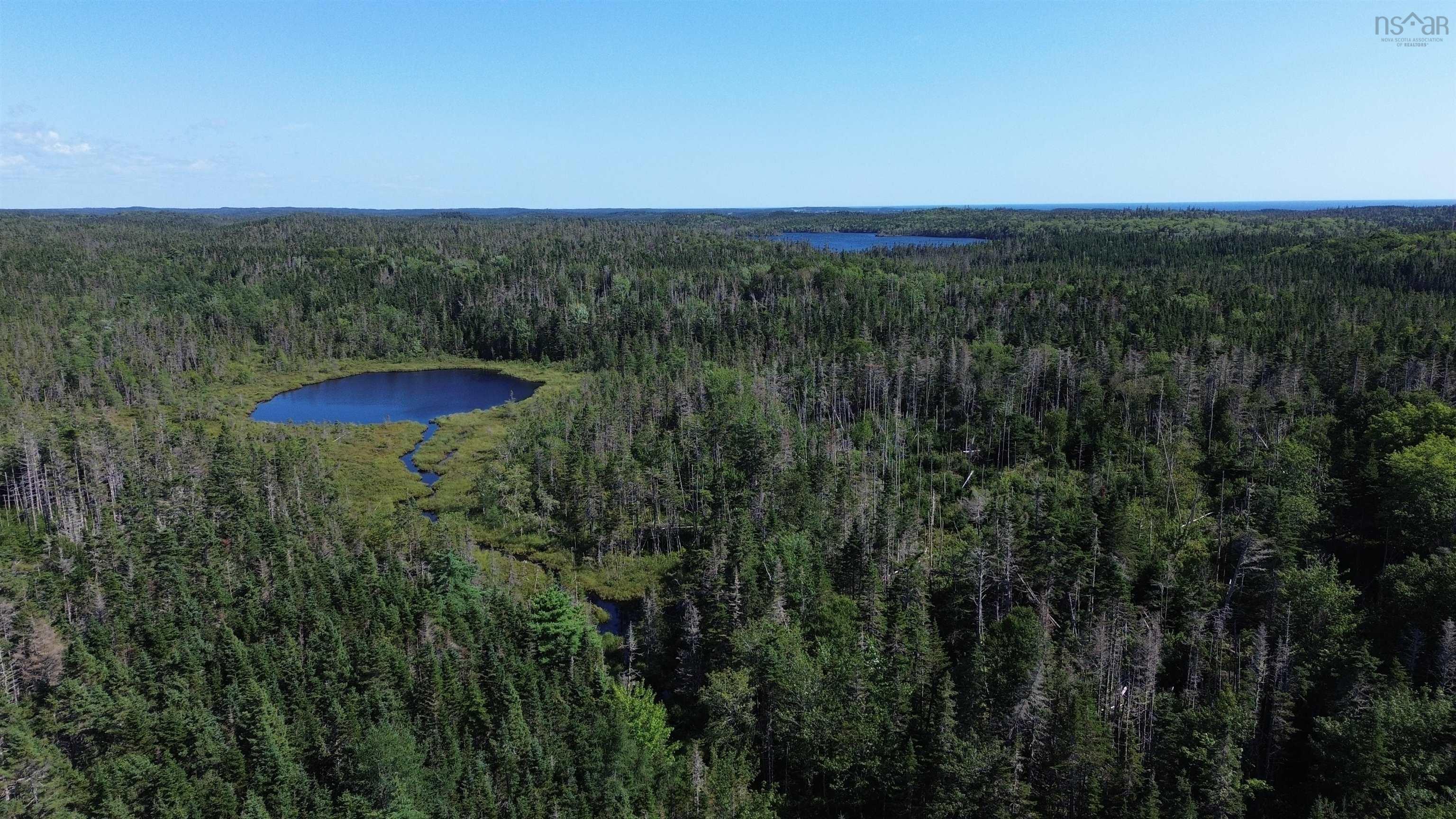 $79,500.00: Condons Lake Drive, Lynche River
