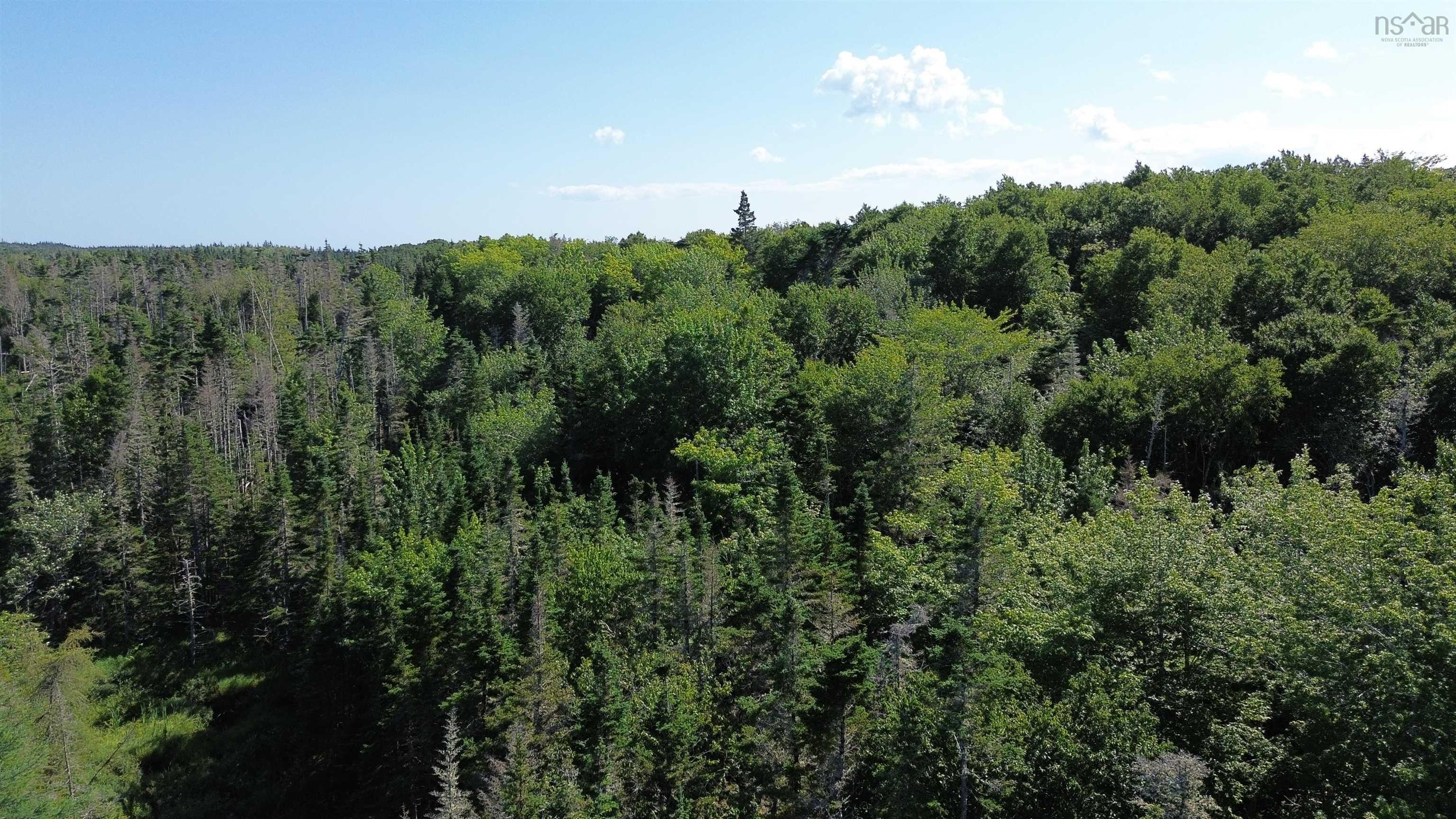 $79,500.00: Condons Lake Drive, Lynche River