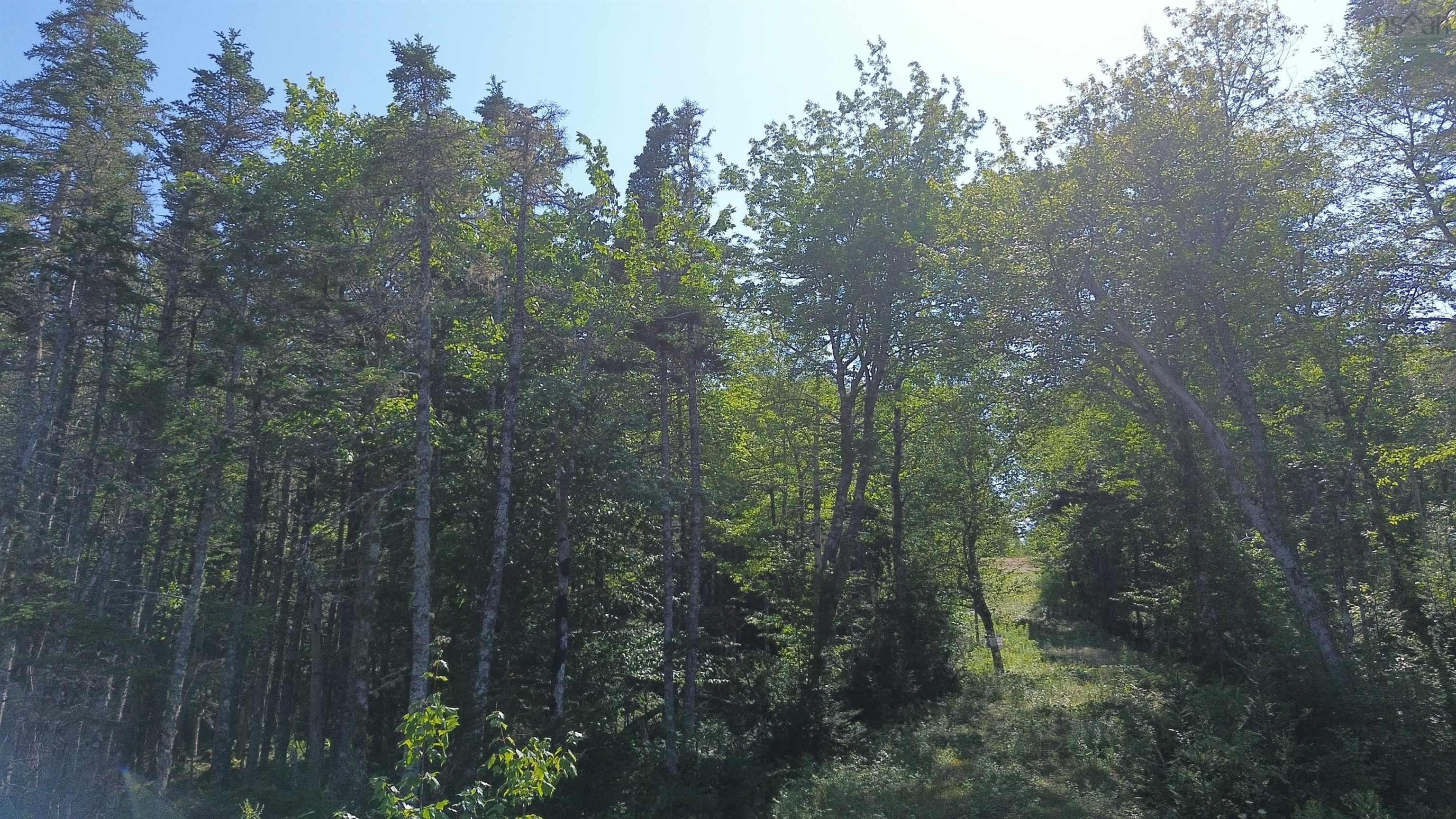 $79,500.00: Condons Lake Drive, Lynche River
