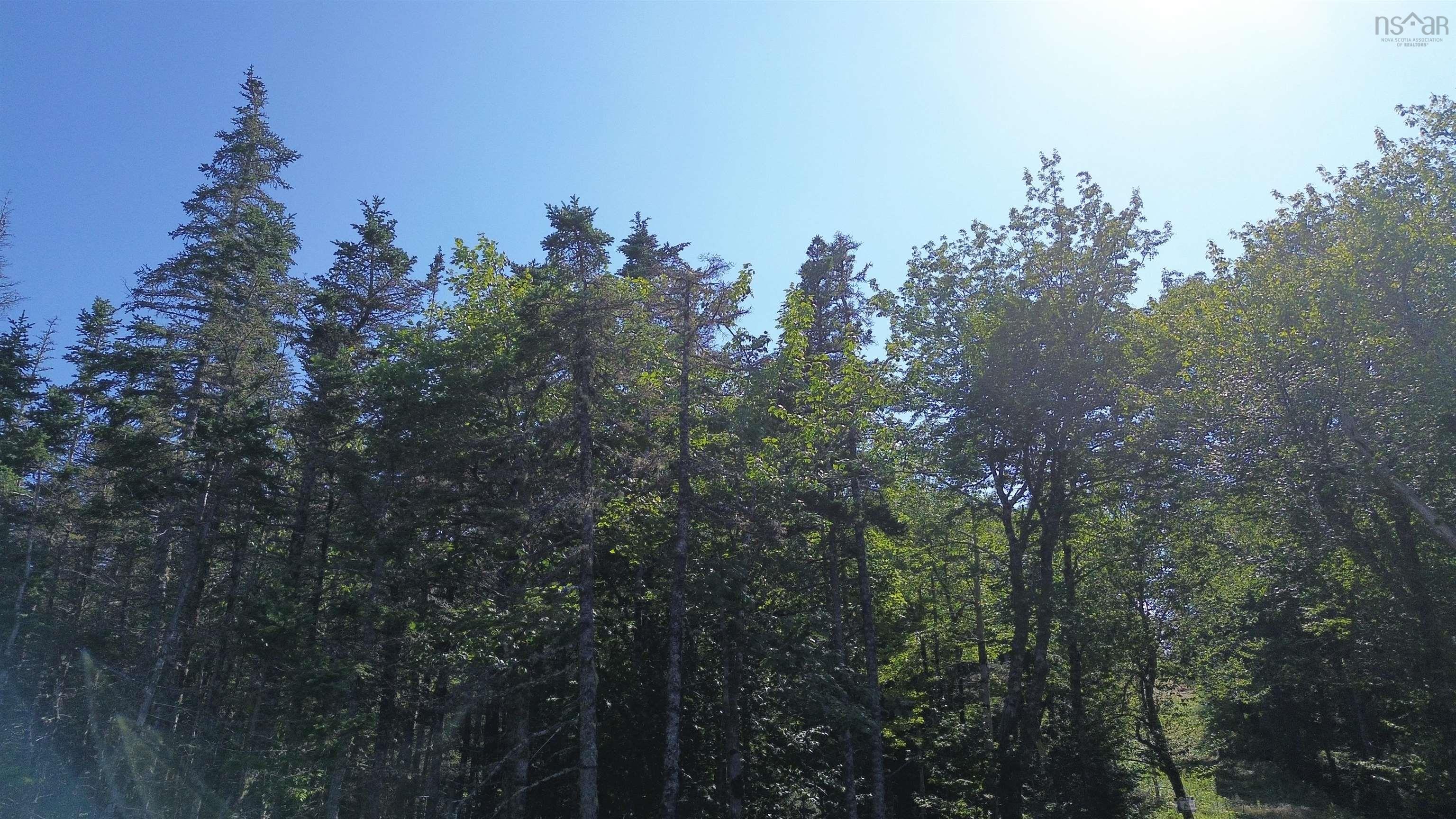 $79,500.00: Condons Lake Drive, Lynche River