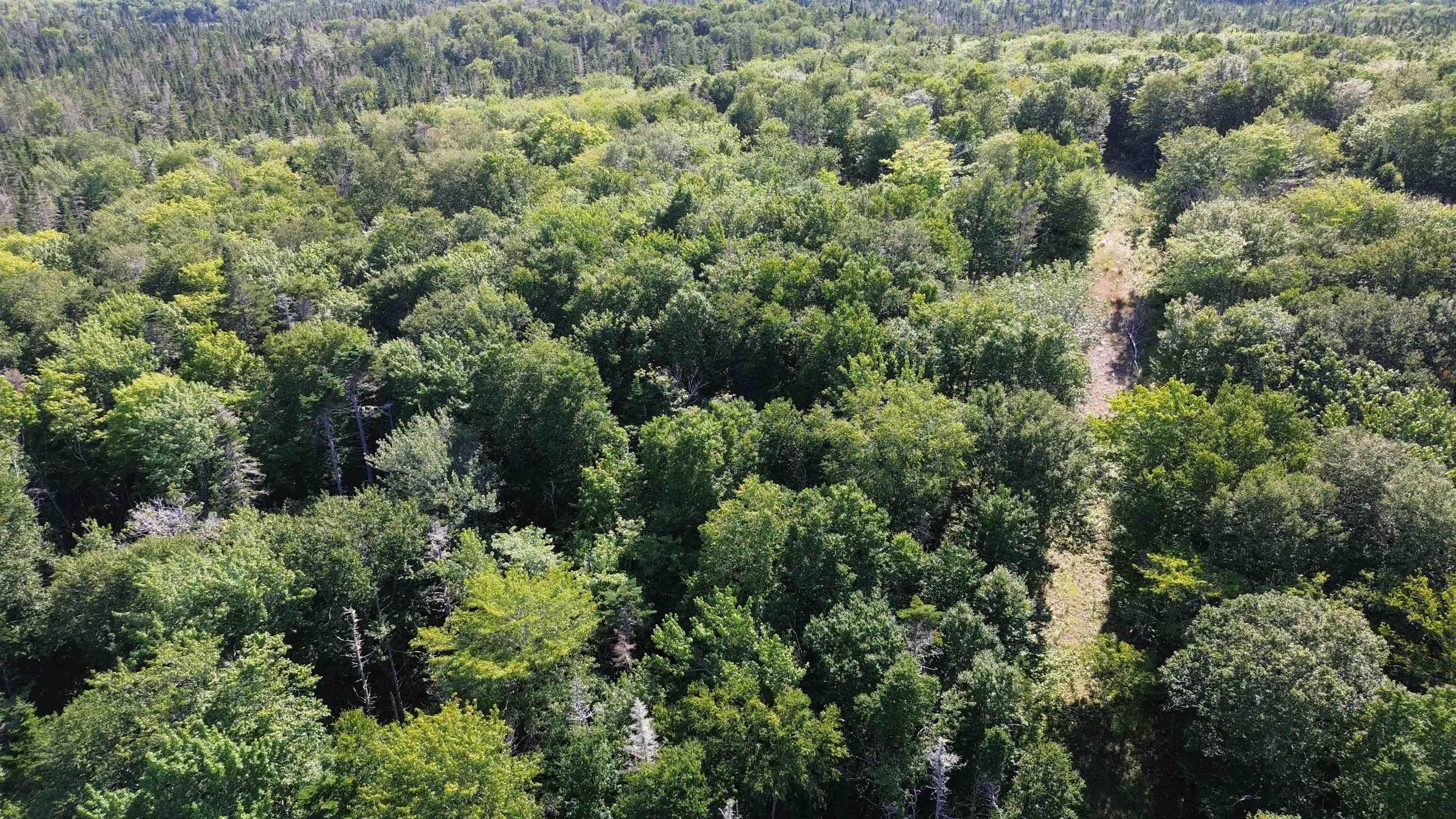 $79,500.00: Condons Lake Drive, Lynche River
