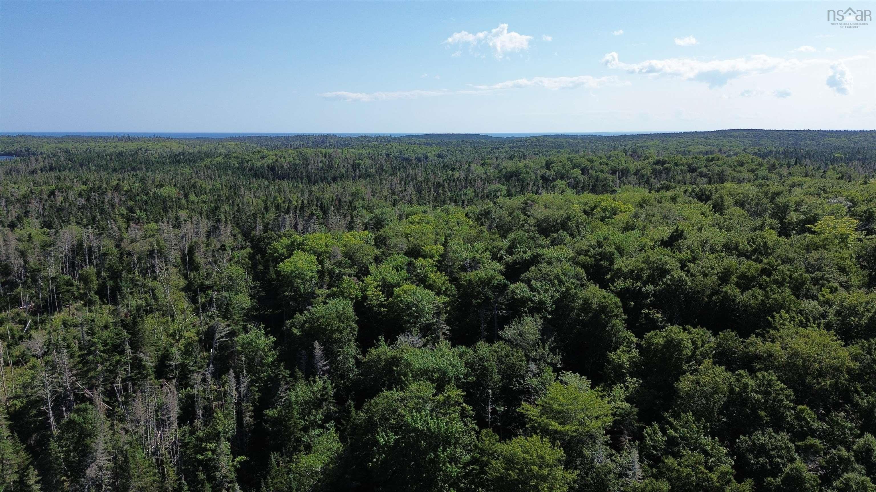$79,500.00: Condons Lake Drive, Lynche River