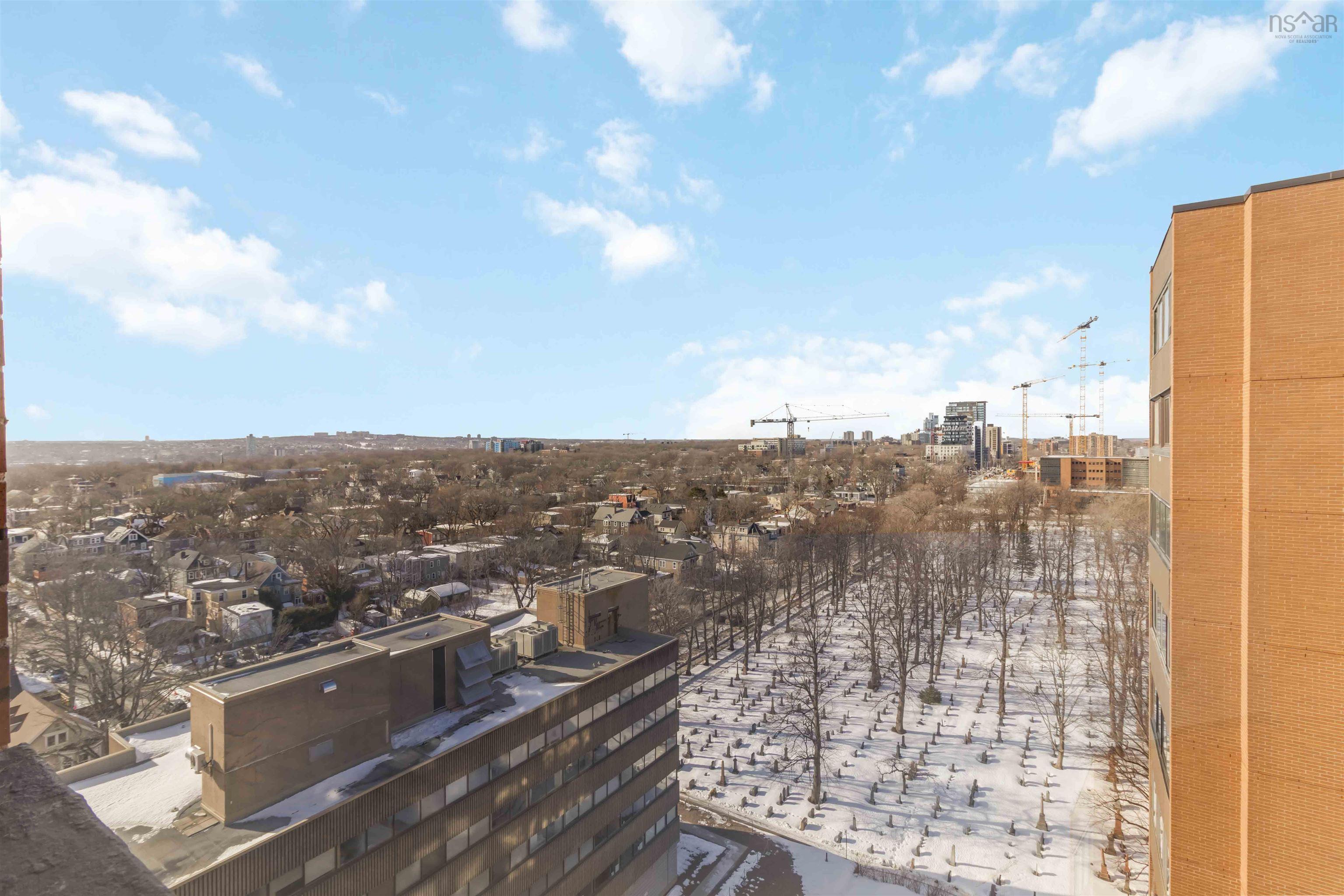 1601 5959 Spring Garden Road, Halifax, NS (MLS® 202620845) — Expansive cityscape with distant buildings and a prominent park area
