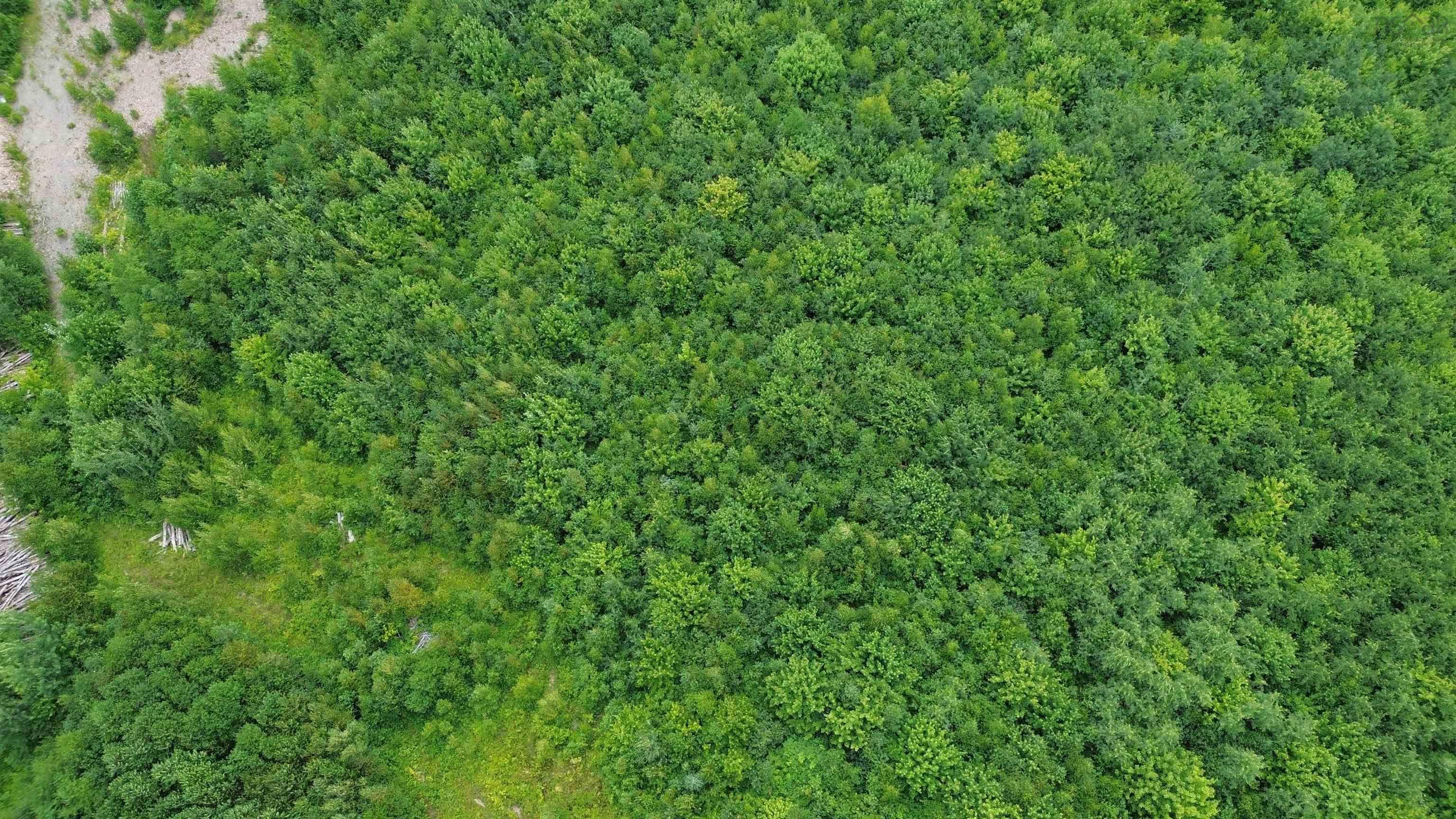 $65,000.00: Lot 8 Peck Meadow Road, Greenfield