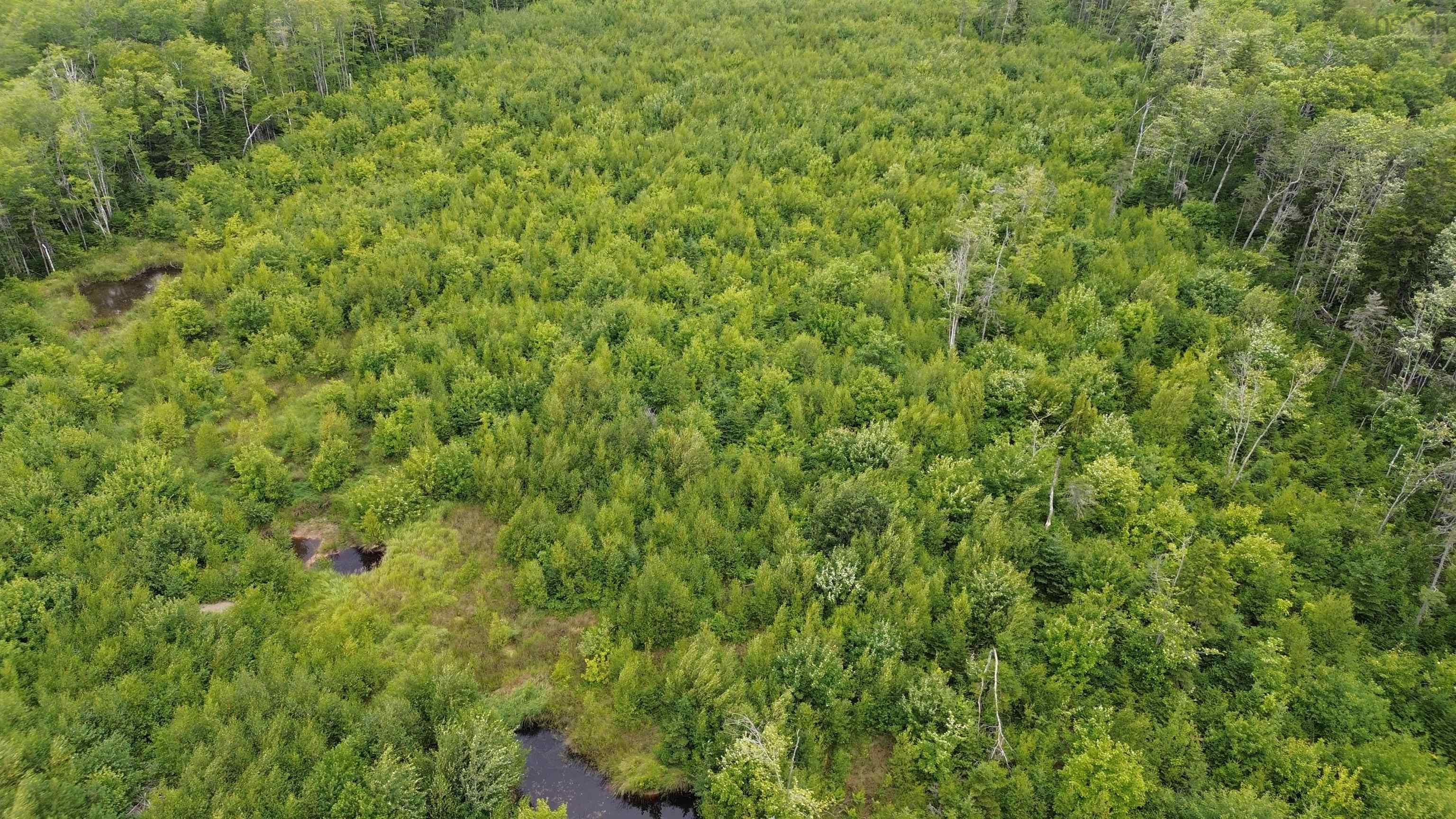 $65,000.00: Lot 8 Peck Meadow Road, Greenfield