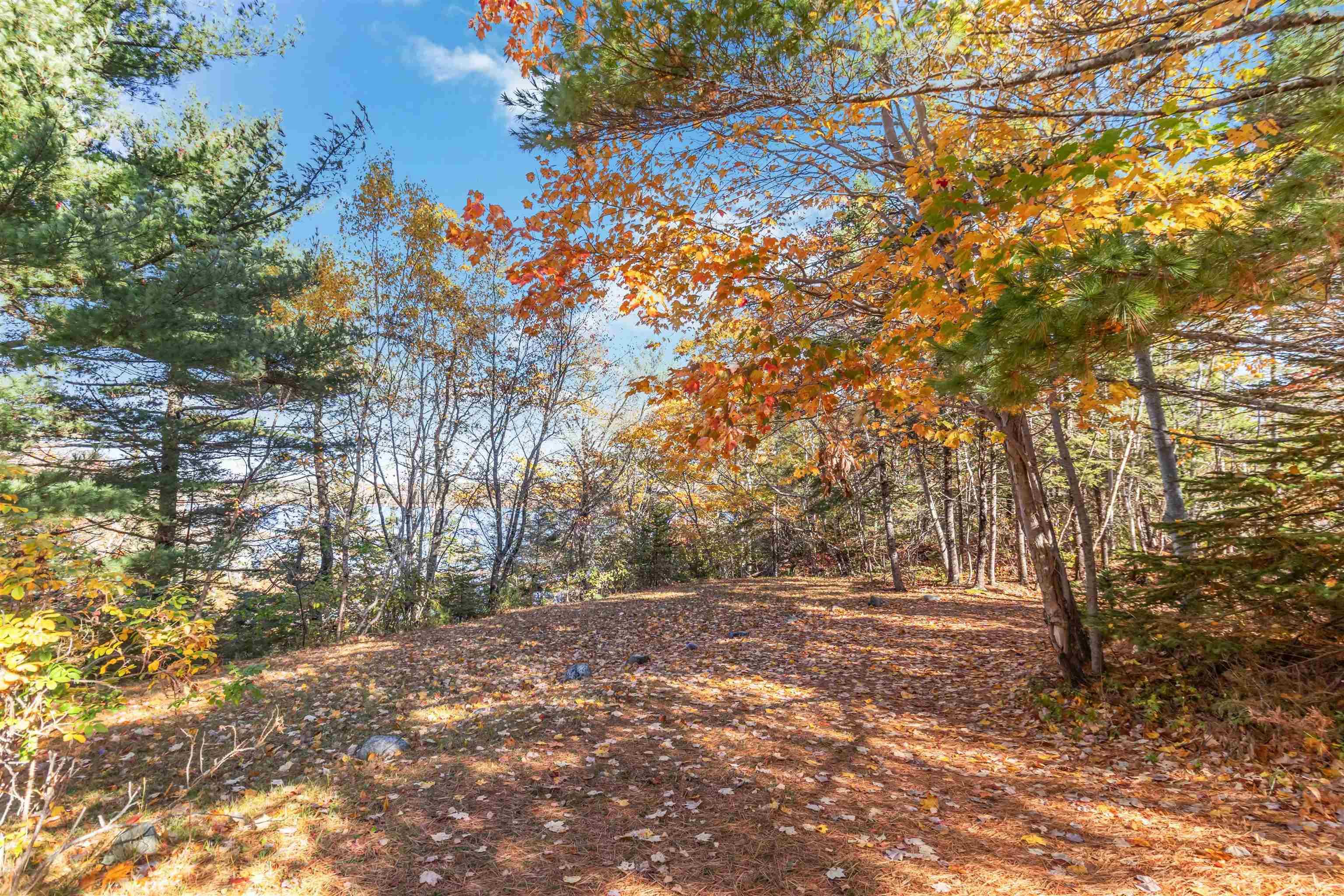 $549,000.00: 437 Southwest Cove Road, Port Medway