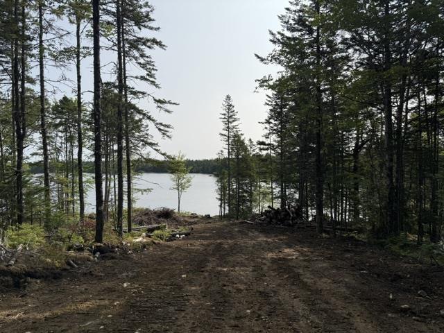 $124,000.00: Lot 12 Island View Drive, Middlewood