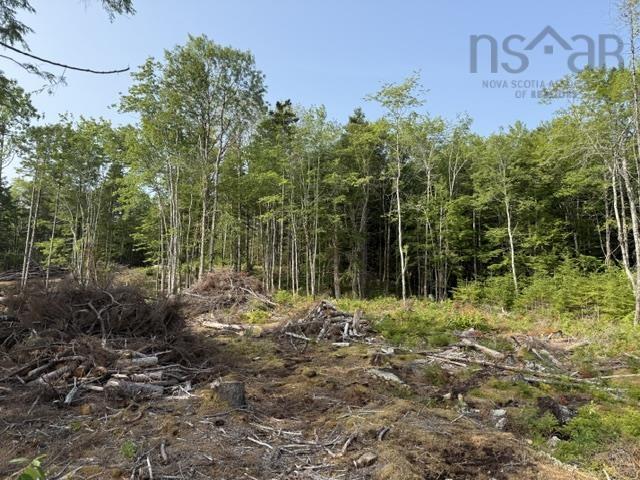 $124,000.00: Lot 12 Island View Drive, Middlewood