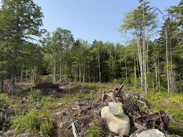 $124,000.00: Lot 12 Island View Drive, Middlewood