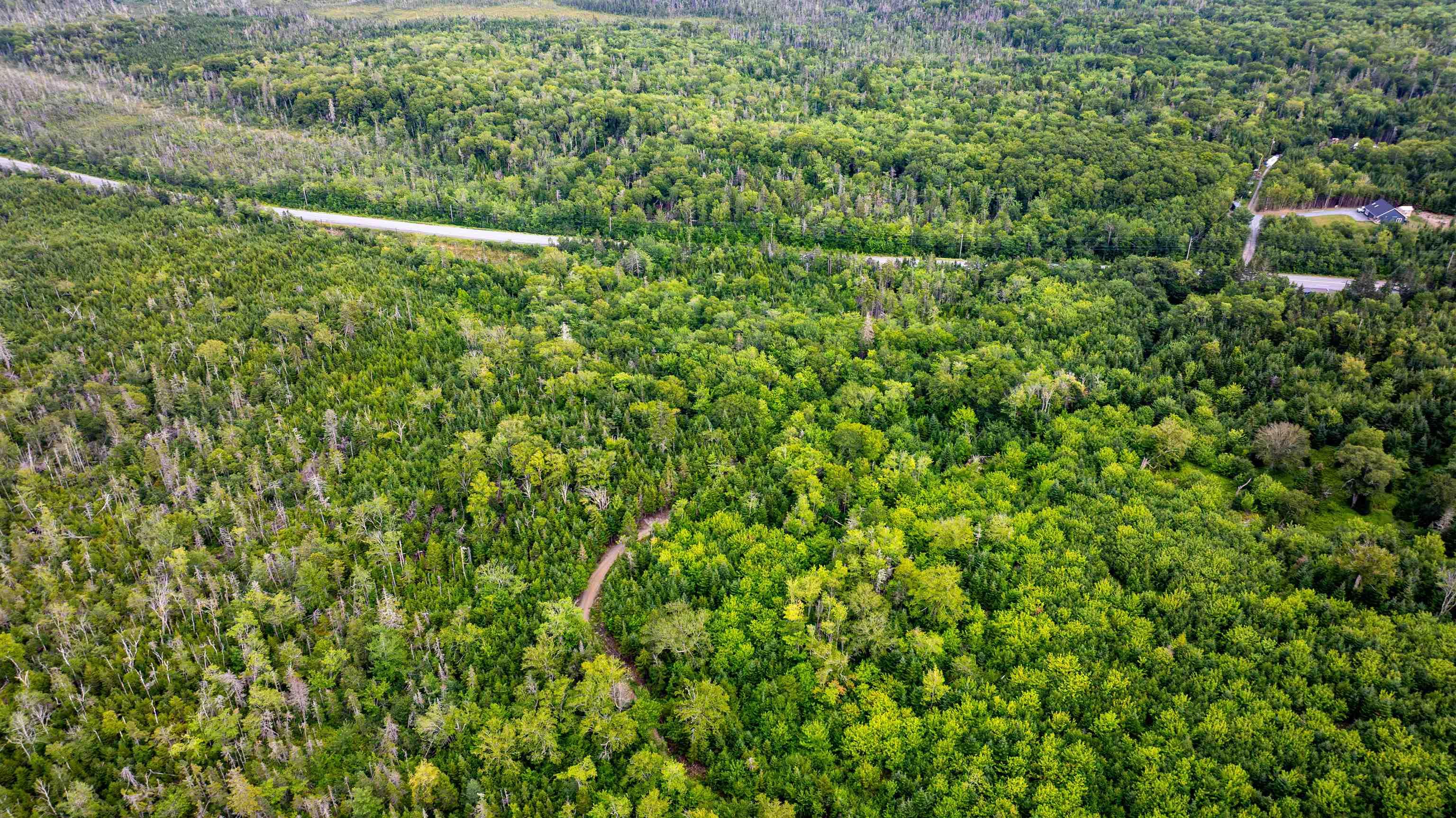 Lot 1, 3 & X 7 Highway, Lake Charlotte, NS (MLS 202620996)