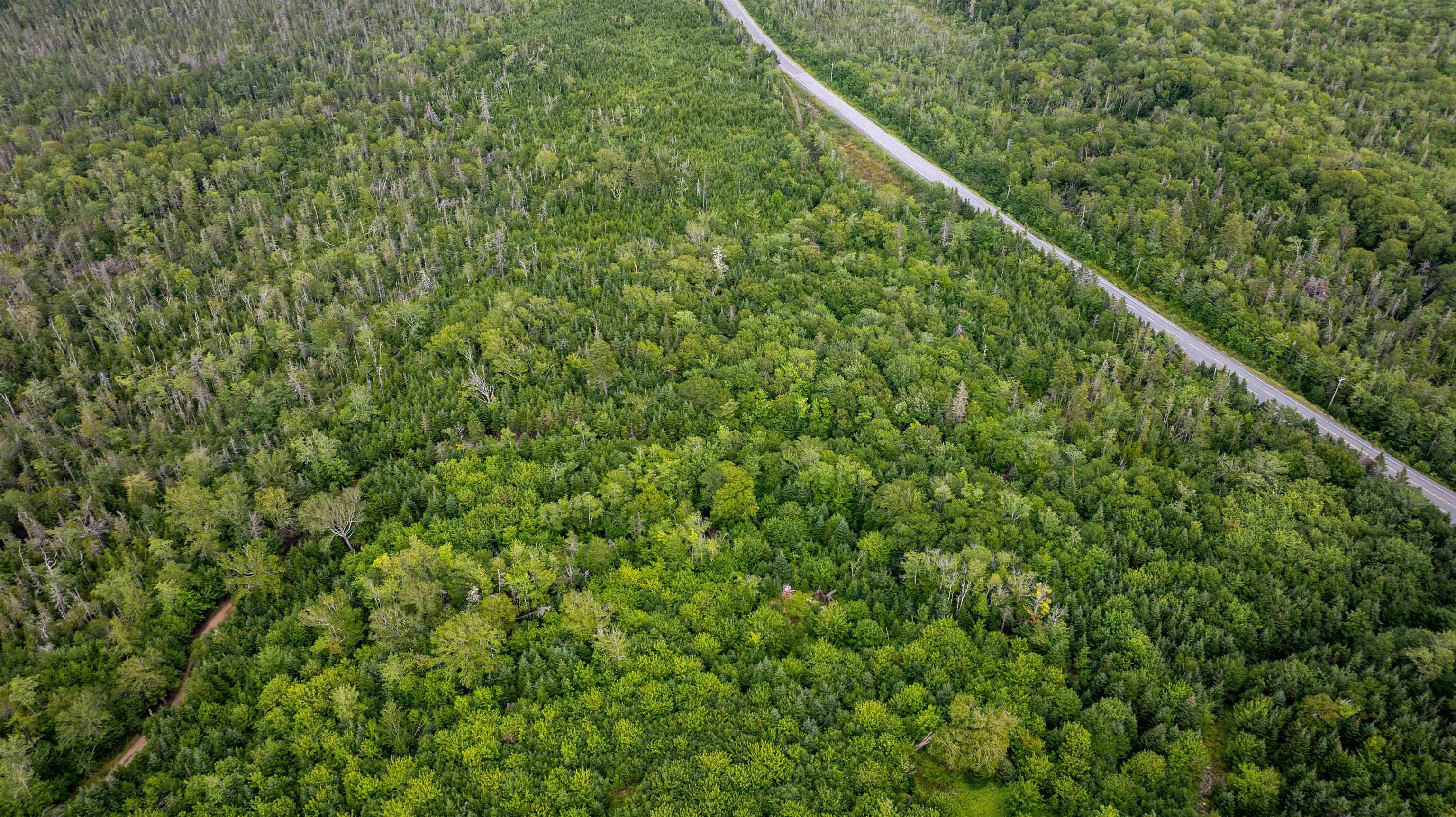 Lot 1, 3 & X 7 Highway, Lake Charlotte, NS (MLS 202620996)