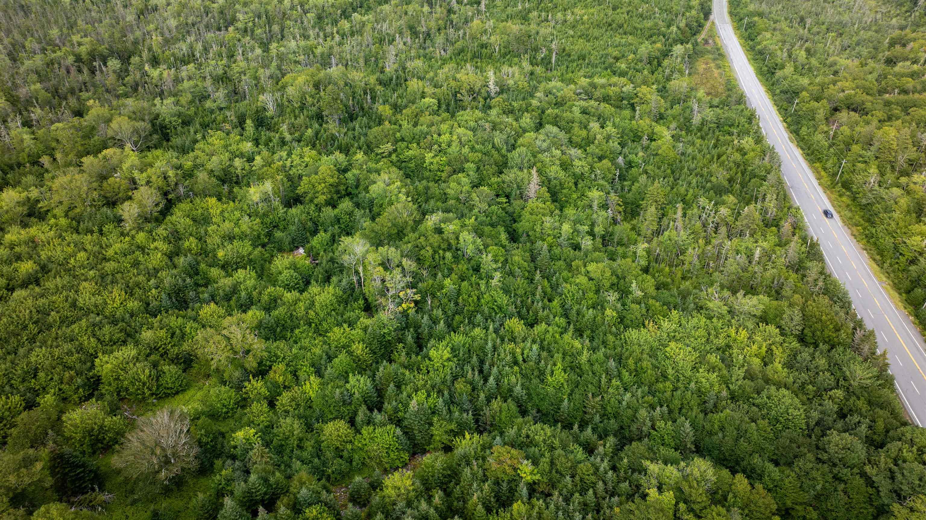 Lot 1, 3 & X 7 Highway, Lake Charlotte, NS (MLS 202620996)
