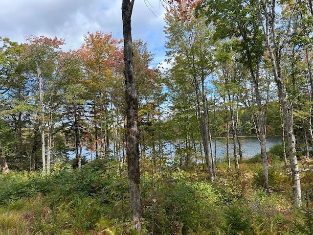 $59,900.00: Lot 4 Lakeshore Drive, New Russell