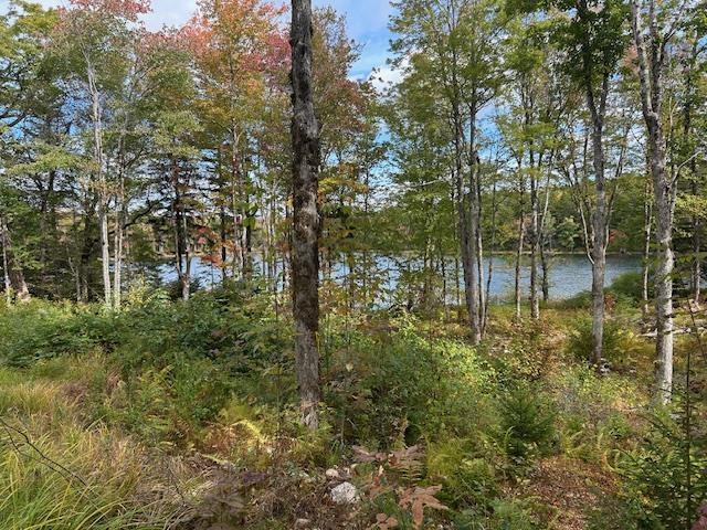 $59,900.00: Lot 4 Lakeshore Drive, New Russell