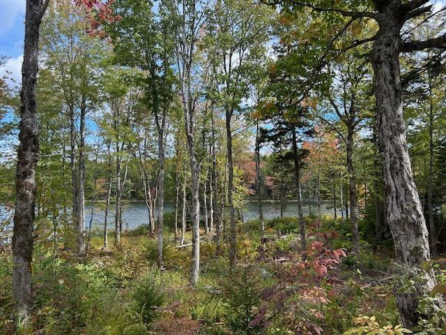 $59,900.00: Lot 4 Lakeshore Drive, New Russell