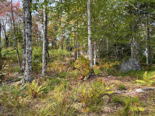 $59,900.00: Lot 4 Lakeshore Drive, New Russell