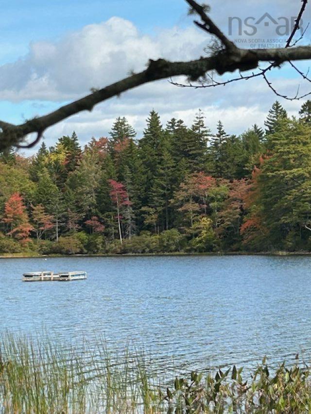 $59,900.00: Lot 4 Lakeshore Drive, New Russell