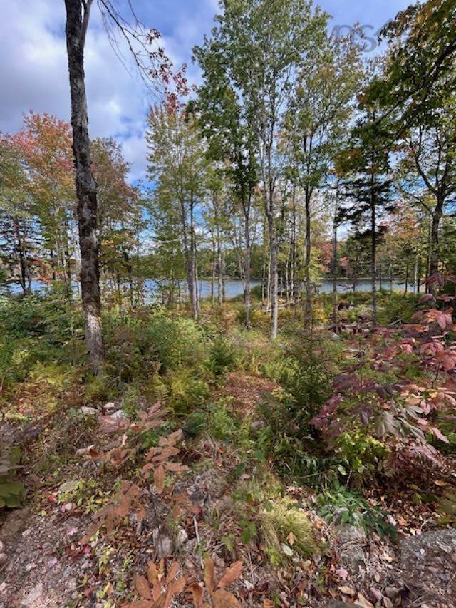 $59,900.00: Lot 4 Lakeshore Drive, New Russell