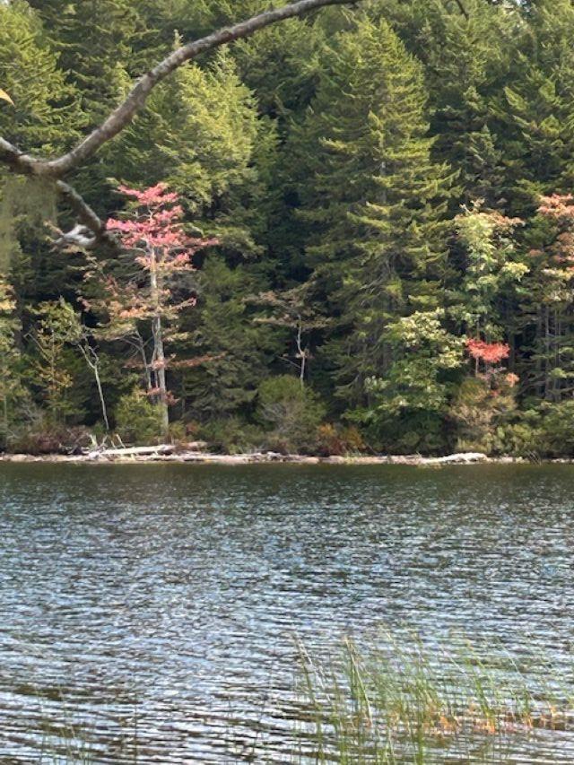 $59,900.00: Lot 4 Lakeshore Drive, New Russell