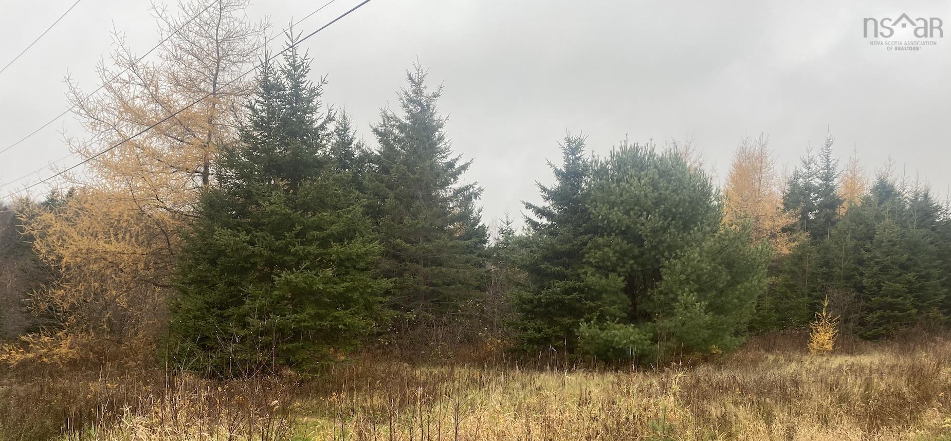 $49,900.00: LOT 10 New Cheverie Road, Lower Burlington