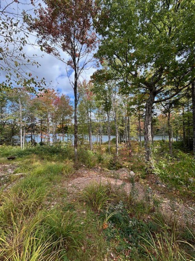 $59,900.00: Lot 3 Lakeshore Drive, New Russell