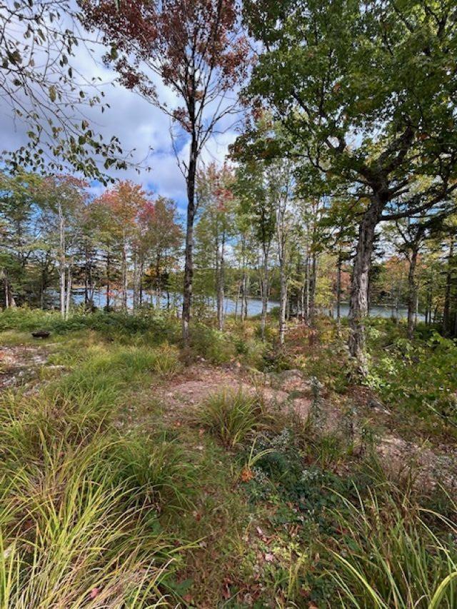 $59,900.00: Lot 3 Lakeshore Drive, New Russell