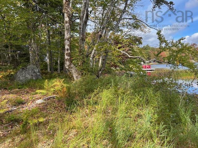 $59,900.00: Lot 3 Lakeshore Drive, New Russell