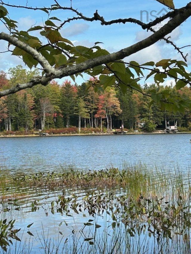 $59,900.00: Lot 3 Lakeshore Drive, New Russell