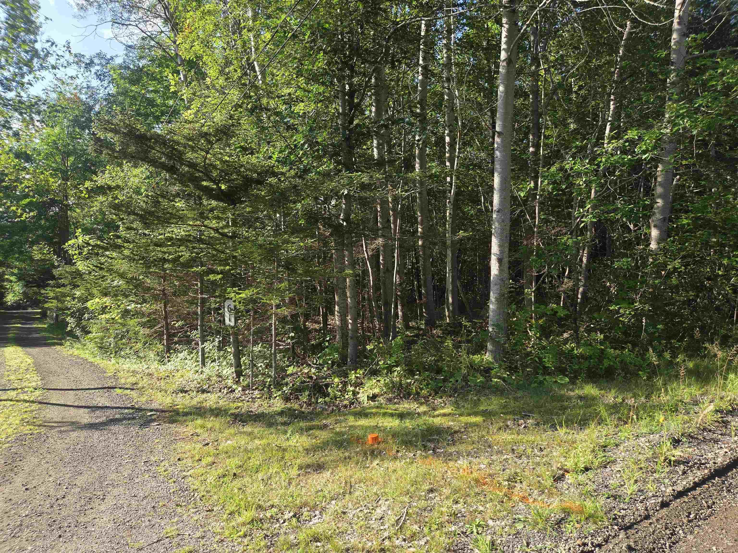 $35,000.00: Lot 7 Benson Avenue, Bear River
