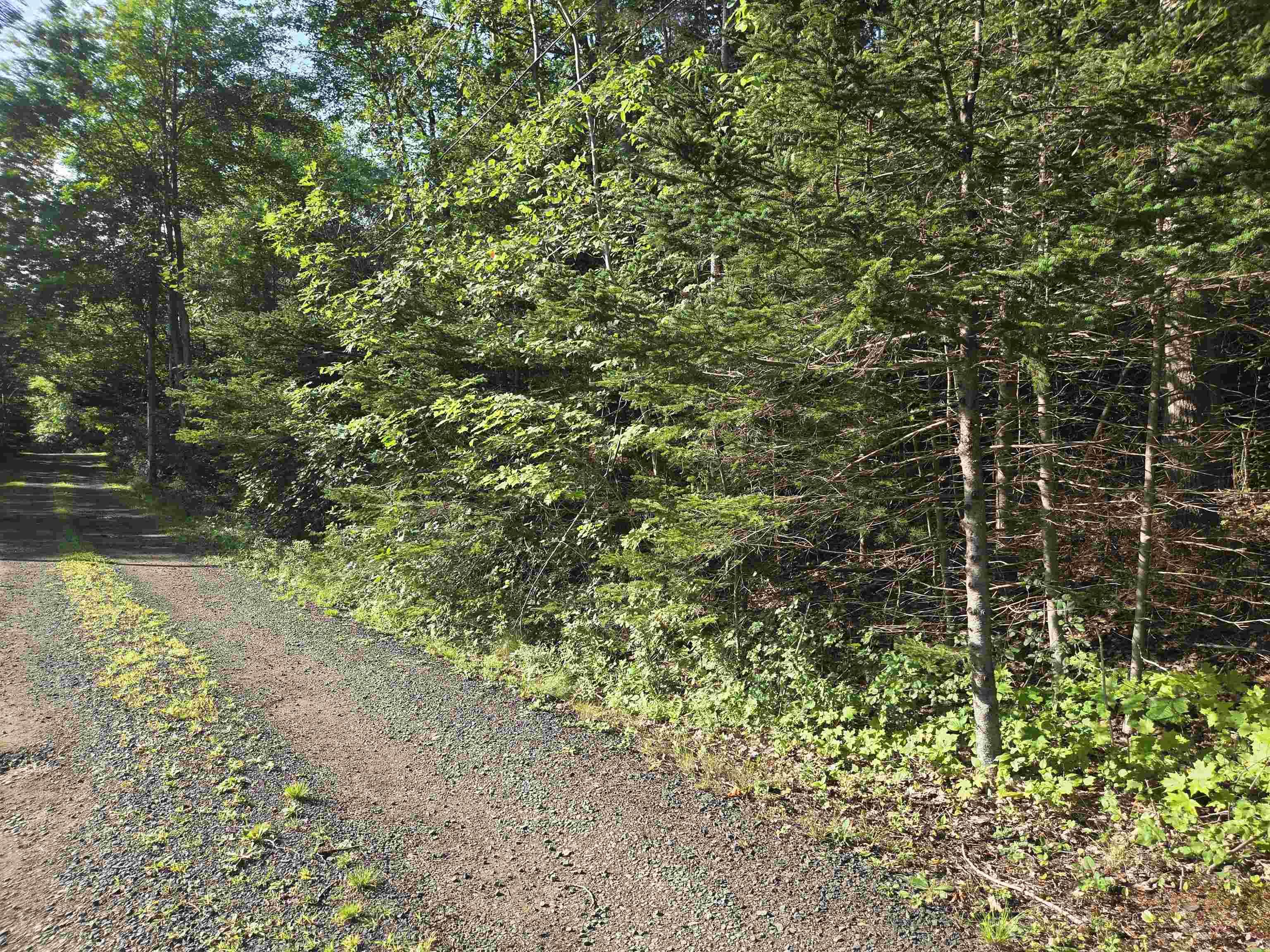 $35,000.00: Lot 7 Benson Avenue, Bear River