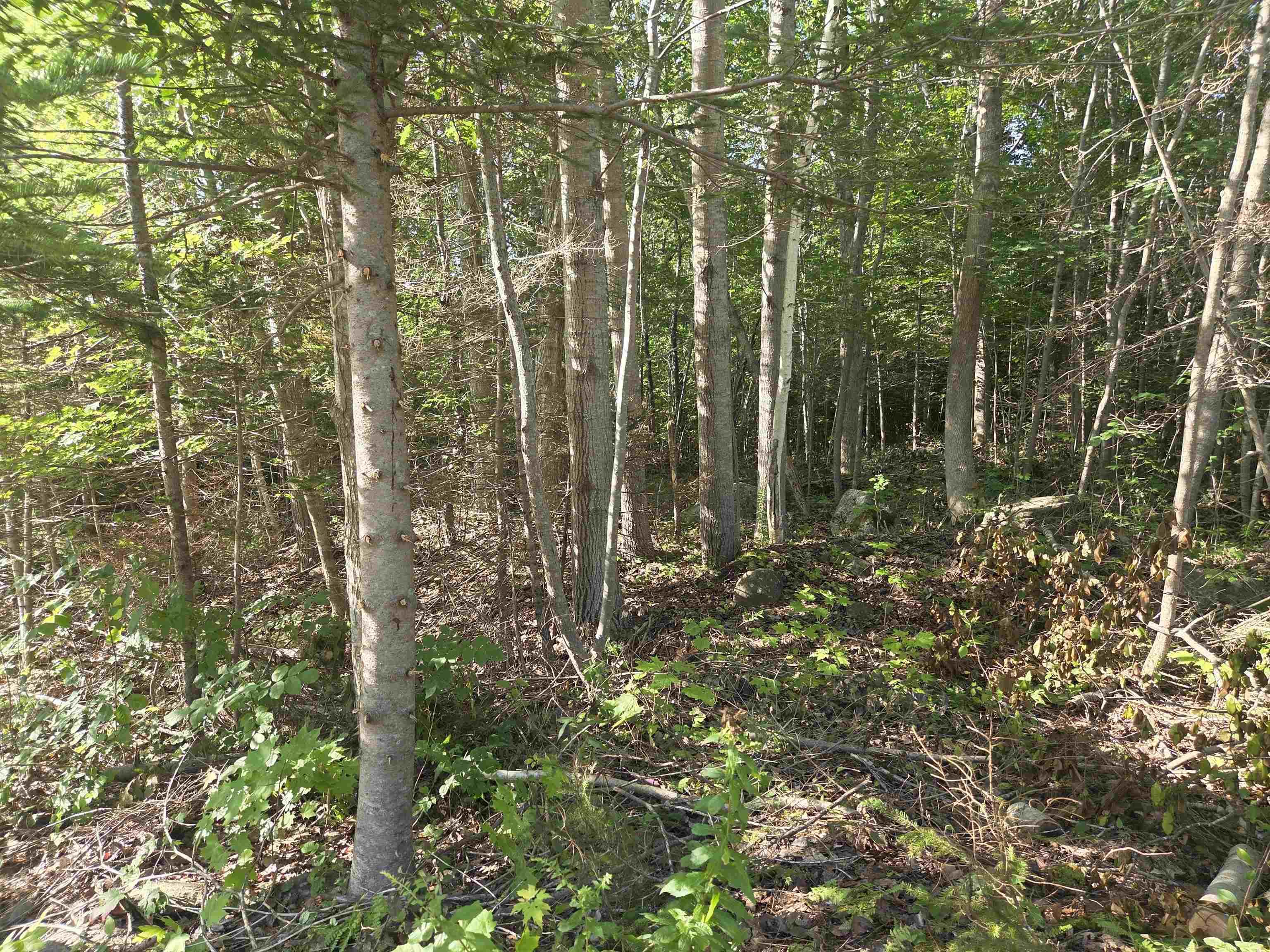 $35,000.00: Lot 7 Benson Avenue, Bear River