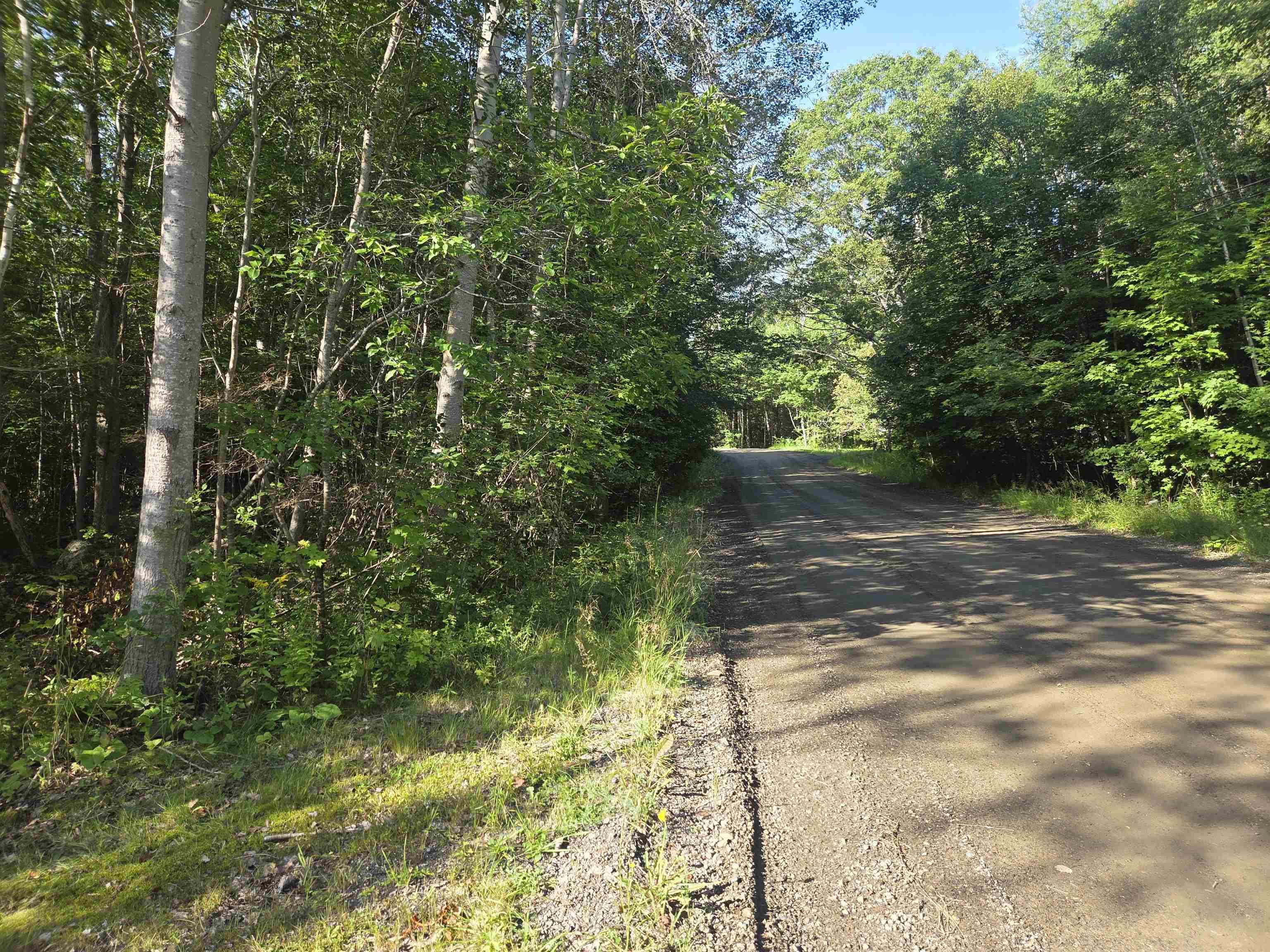 $35,000.00: Lot 7 Benson Avenue, Bear River