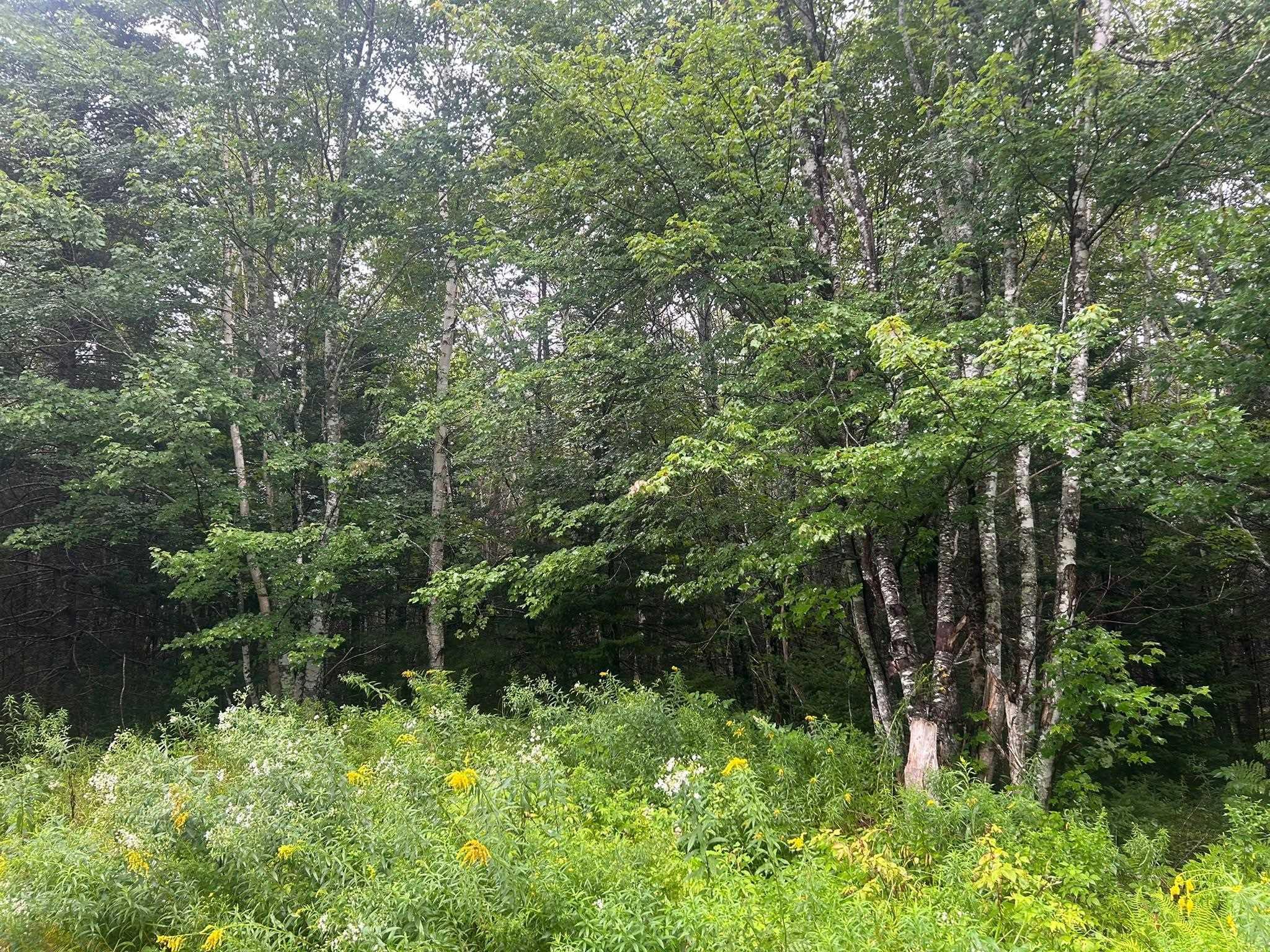 $65,000.00: Lot 8 No 7 Highway, Aspen