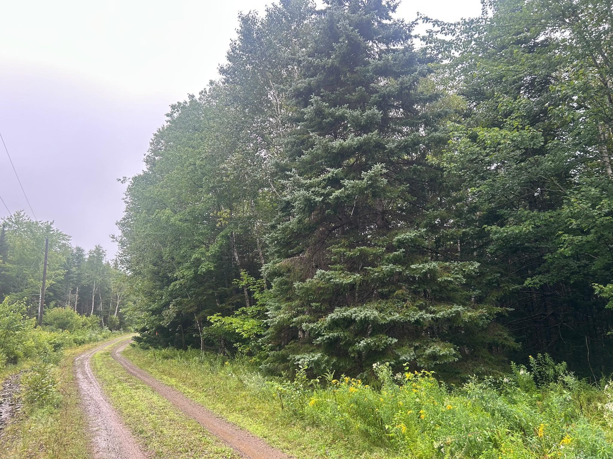 $65,000.00: Lot 8 No 7 Highway, Aspen