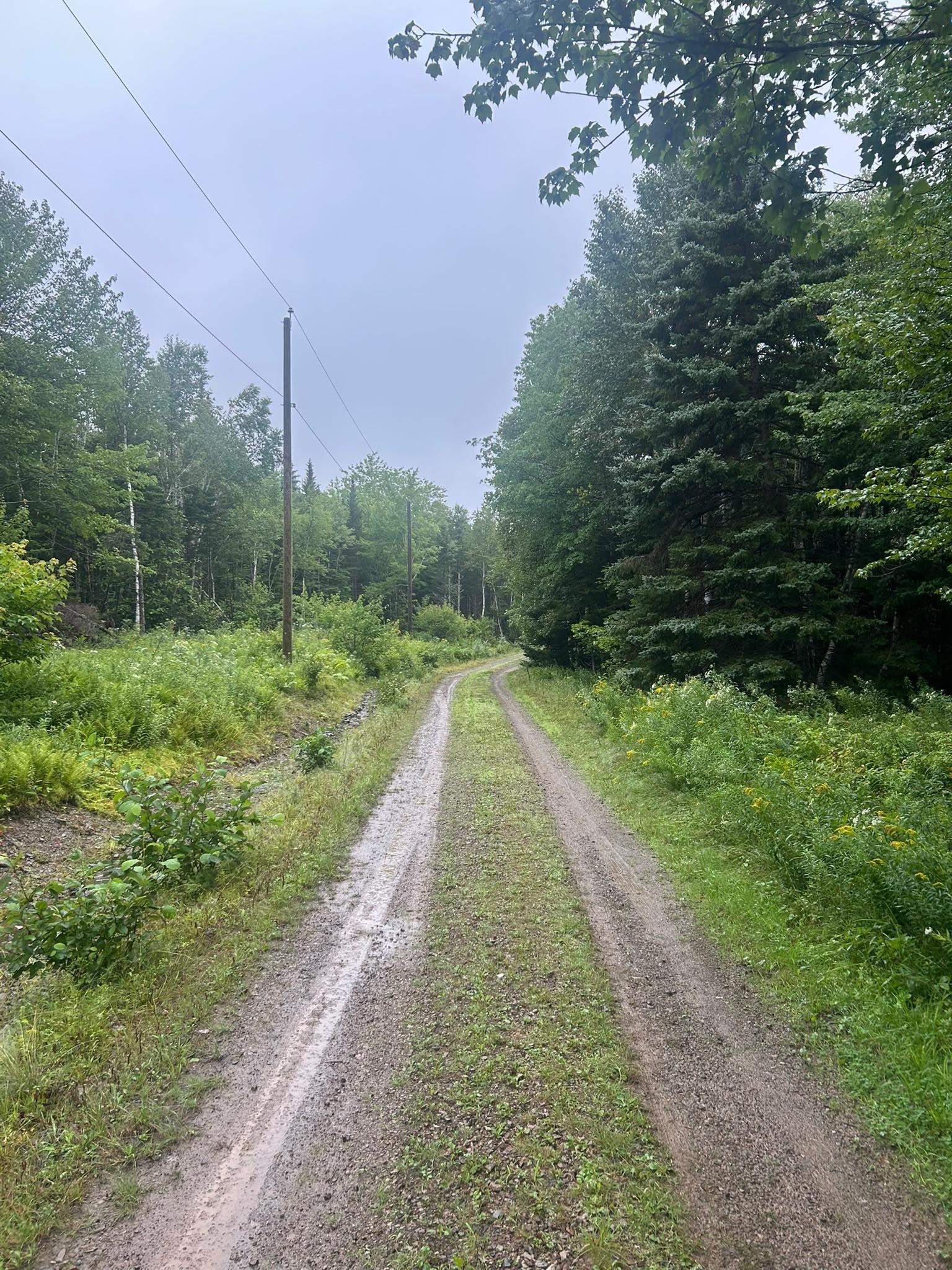 $65,000.00: Lot 8 No 7 Highway, Aspen
